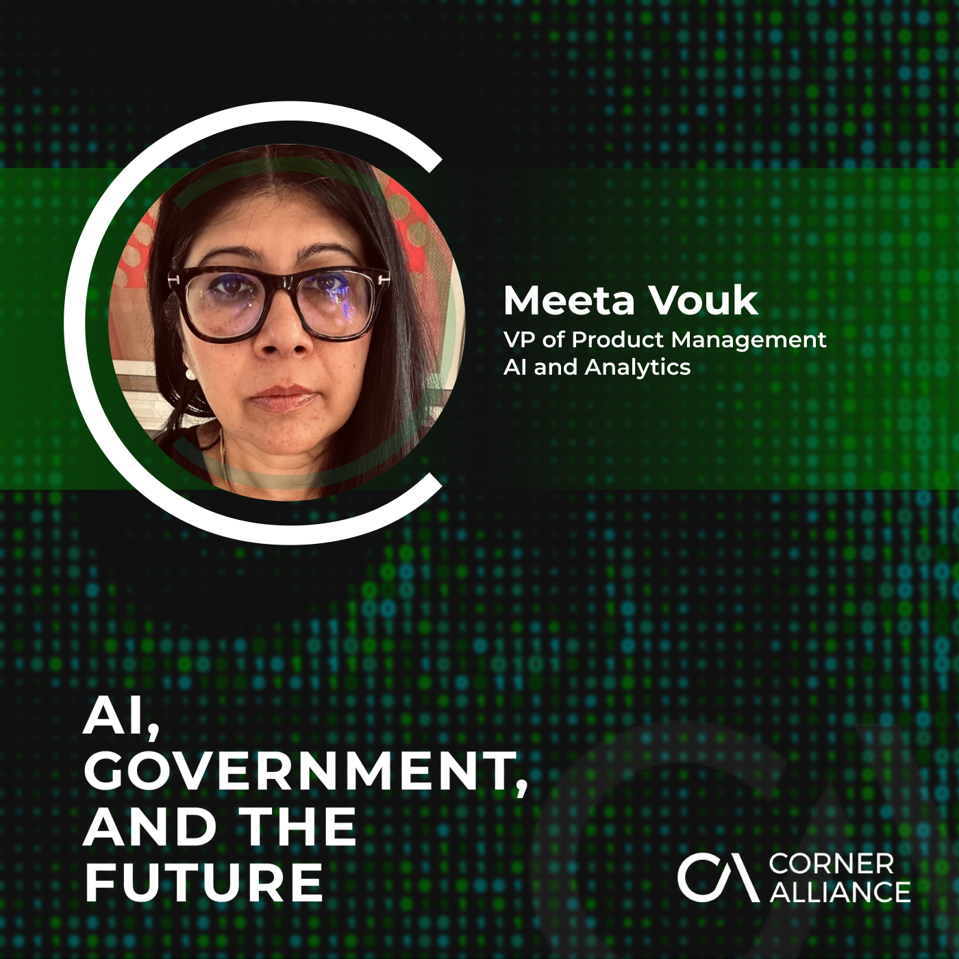 AI, Government, and the Future