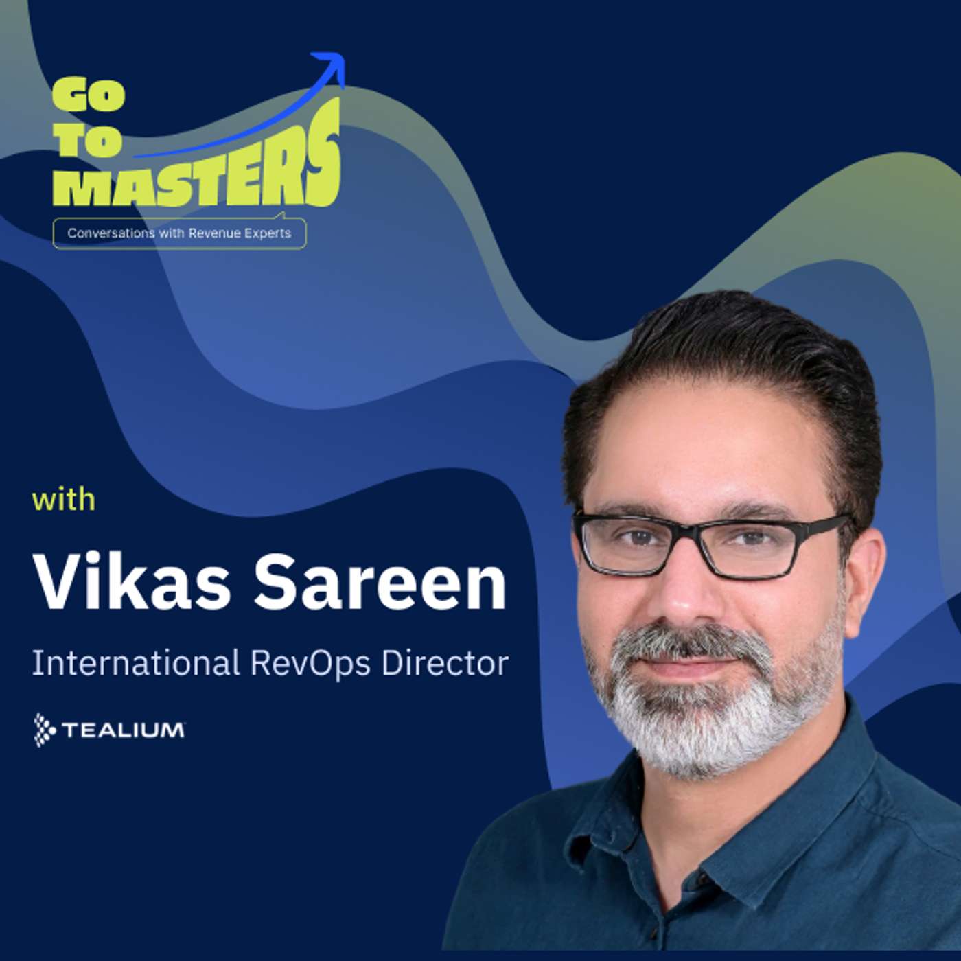 Vikas Sareen on Thinking in Systems, Not Just Tools episode artwork