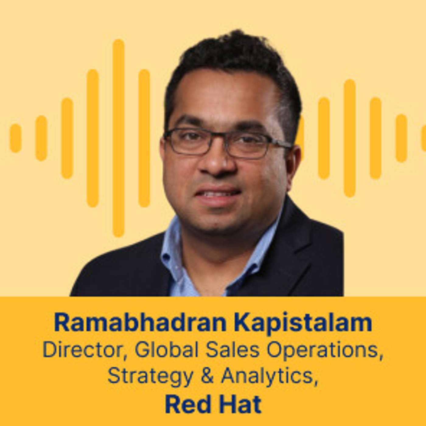 Leveraging Data for Business Impact: Ramabhadran Kapistalam's Expert Insights for Sales Ops Professionals episode artwork
