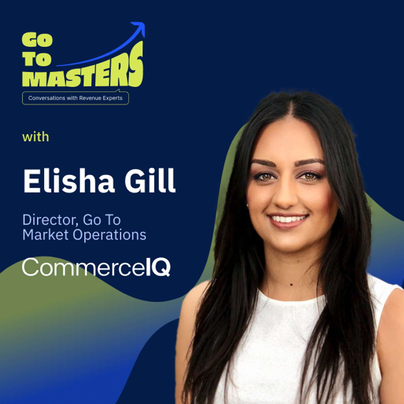 Achieving 10x Revenue Growth: Elisha Gill's Playbook on Scaling ARR & Building Comp Plans episode artwork