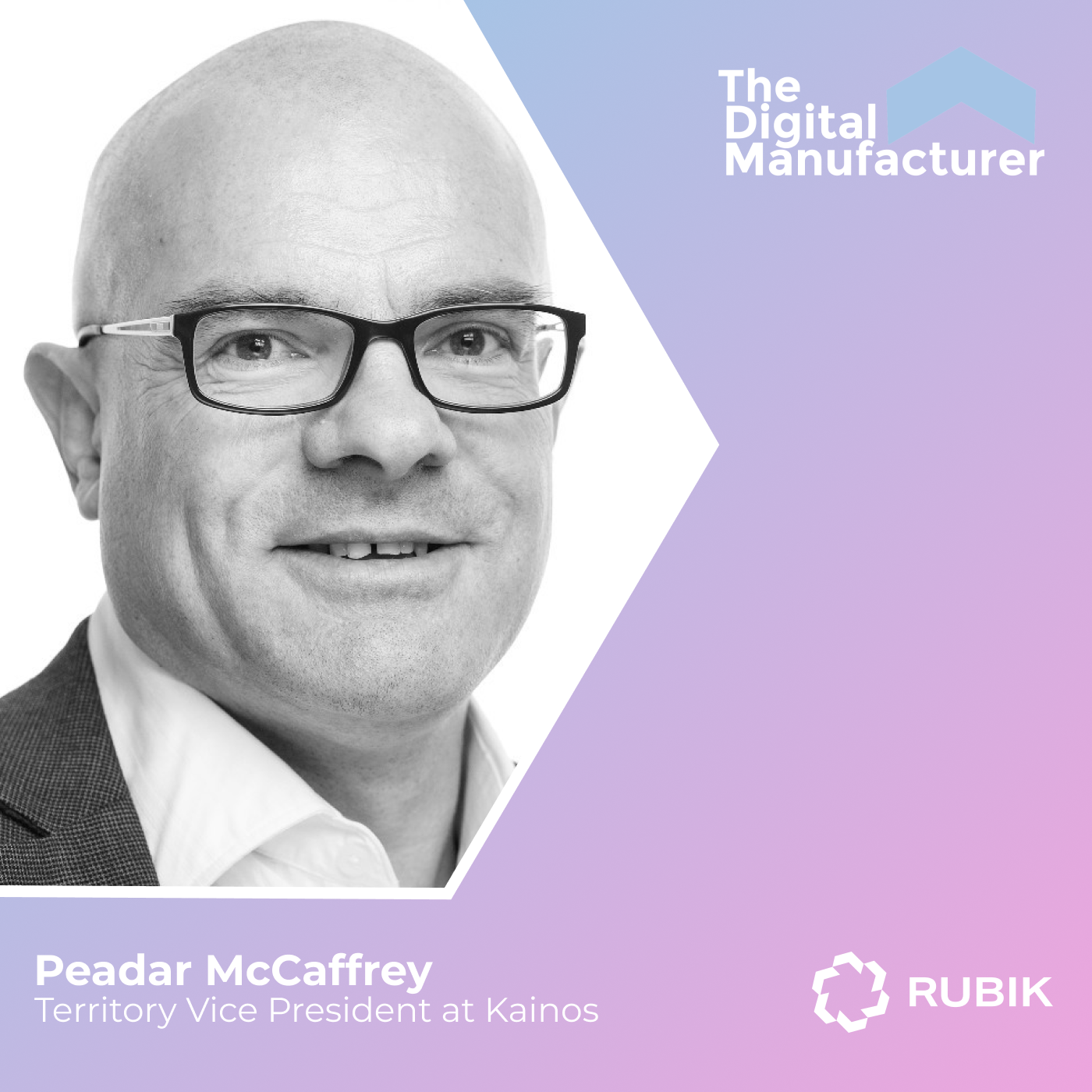 The Digital Manufacturer