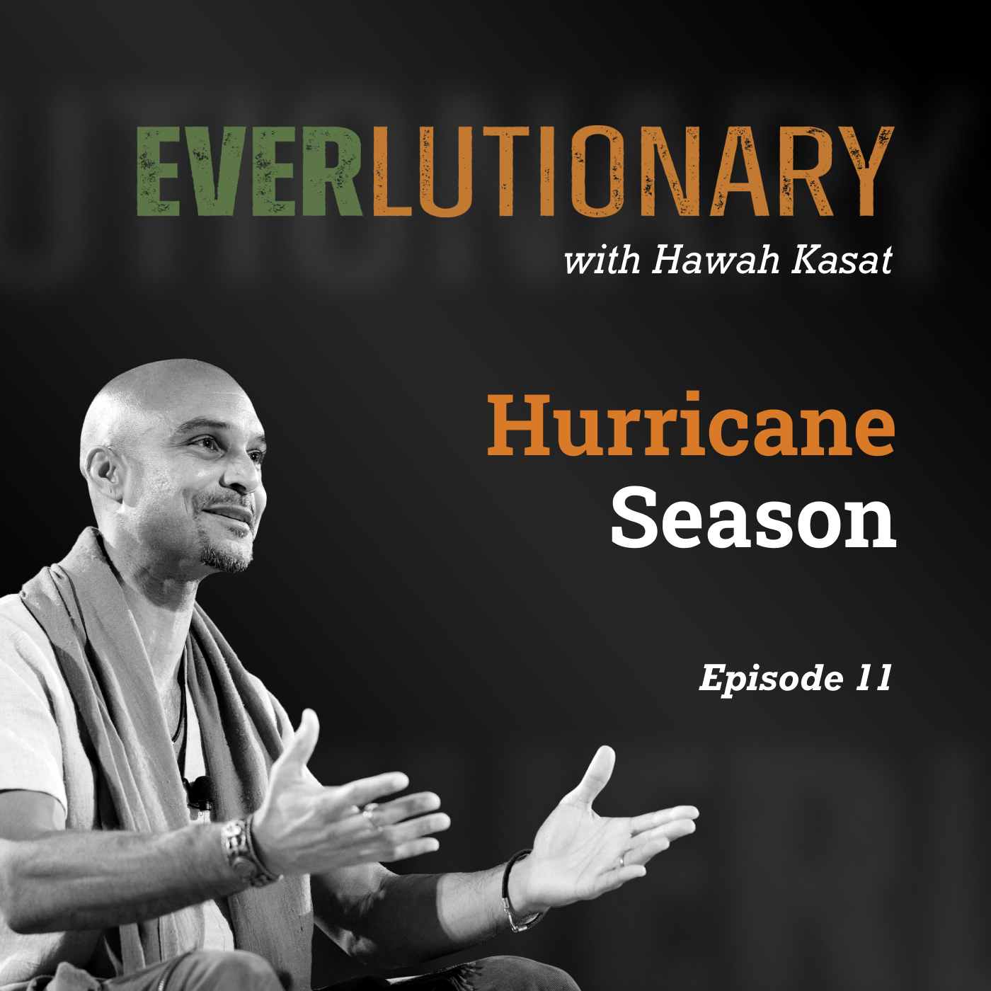 Everlutionary: Healing and Transforming the World