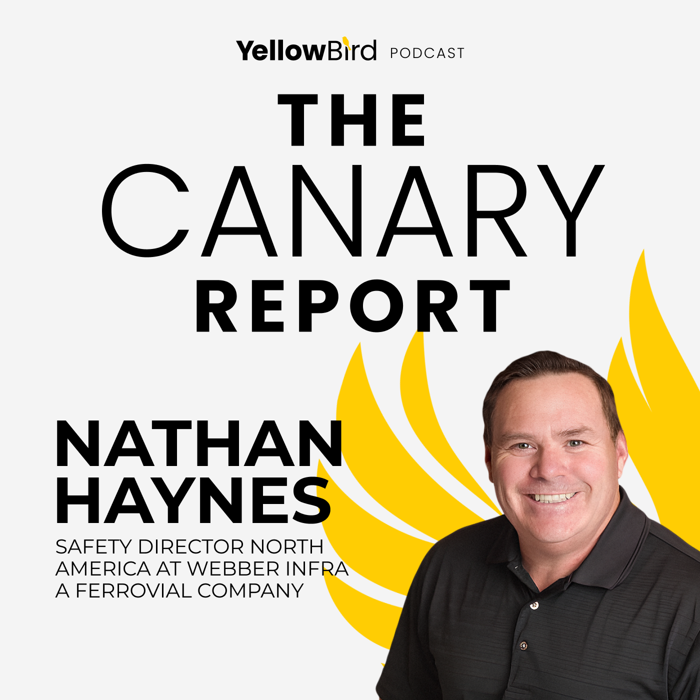 Why Character Beats Safety Degrees with Nathan Haynes episode artwork
