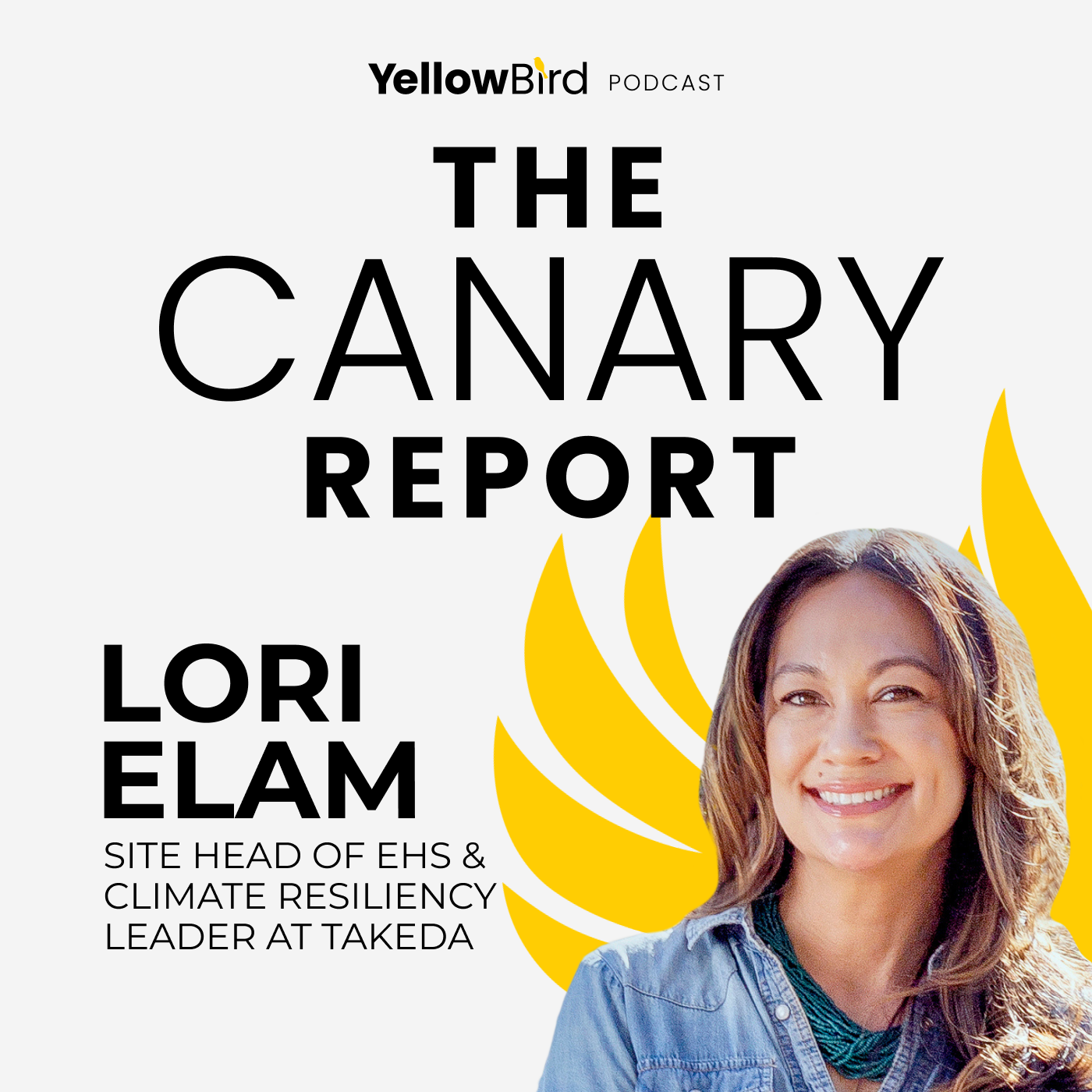How Vulnerability Beats Authority in Workplace Safety Culture with Lori Elam episode artwork