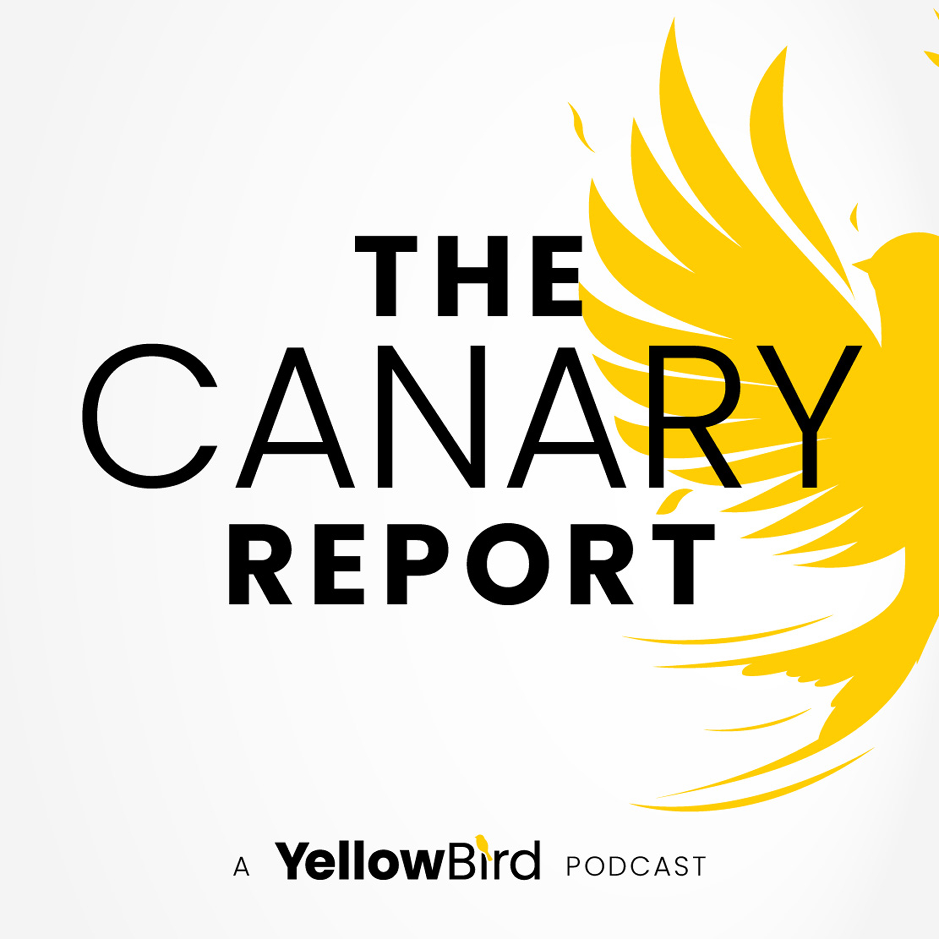 The Canary Report