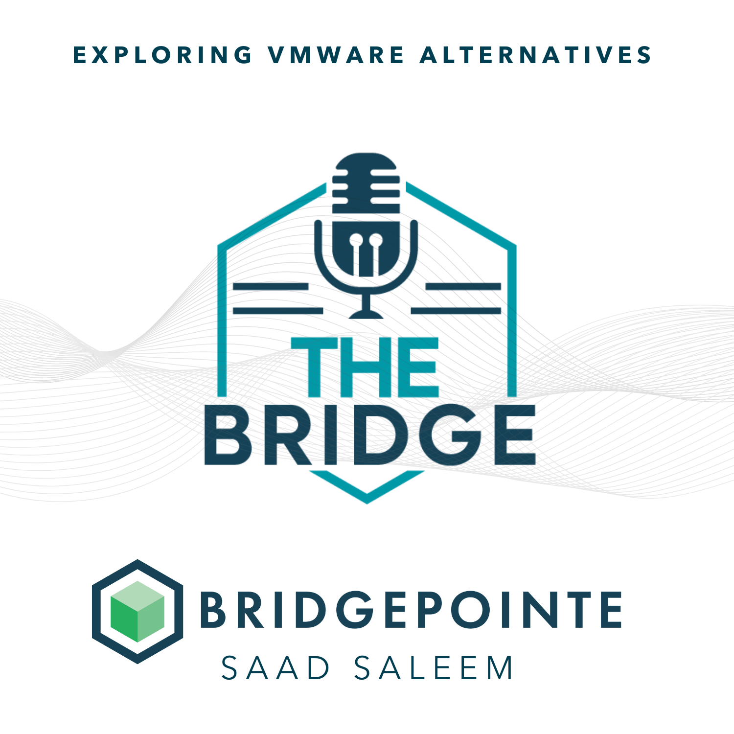 The Bridgecast with Scott Kinka