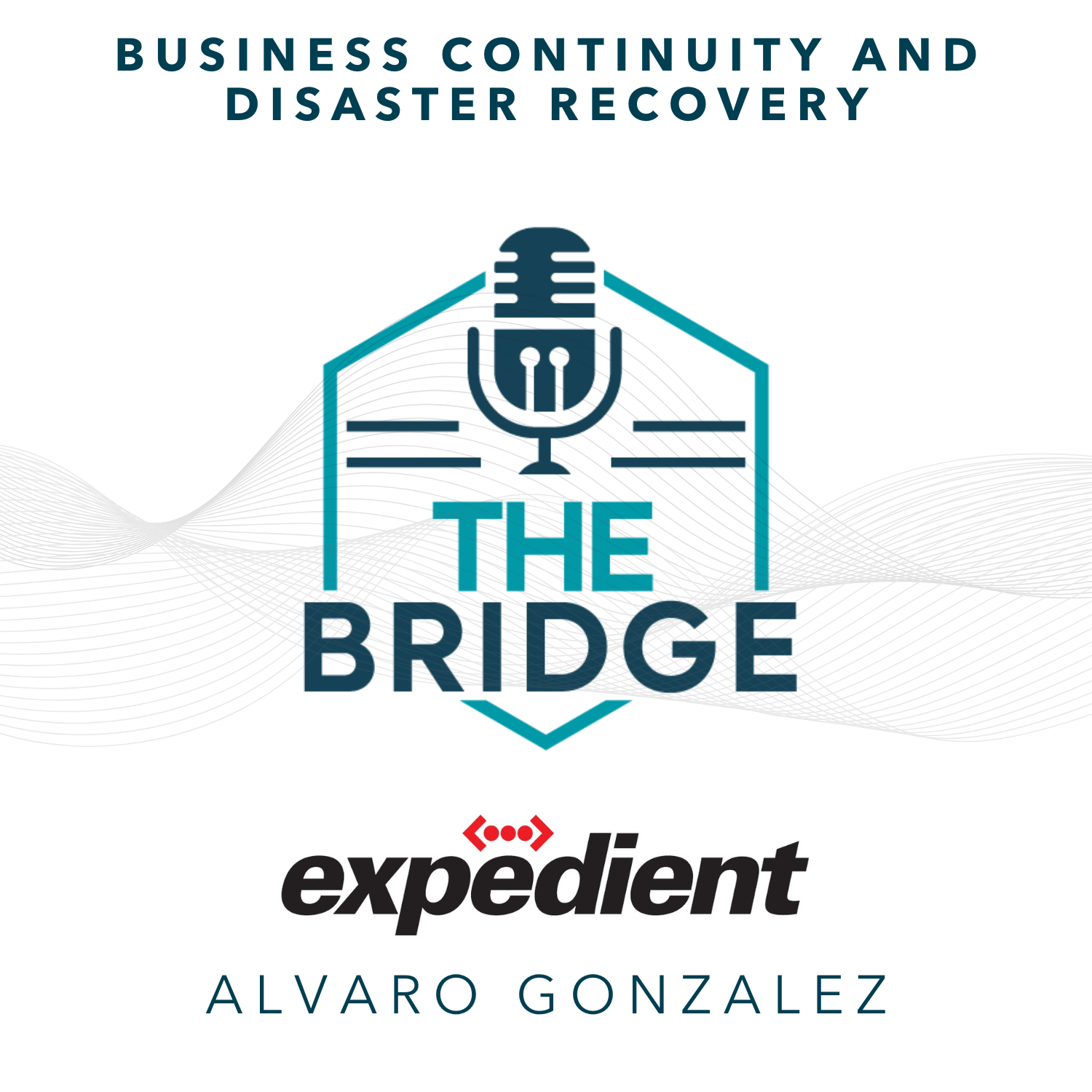 The Bridgecast with Scott Kinka