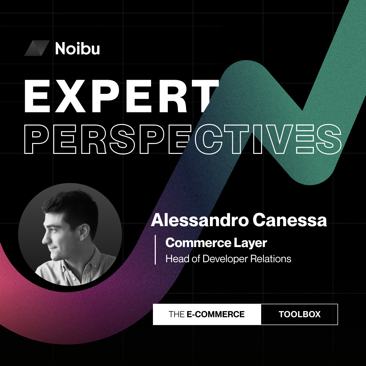 The Ecommerce Toolbox: Expert Perspectives
