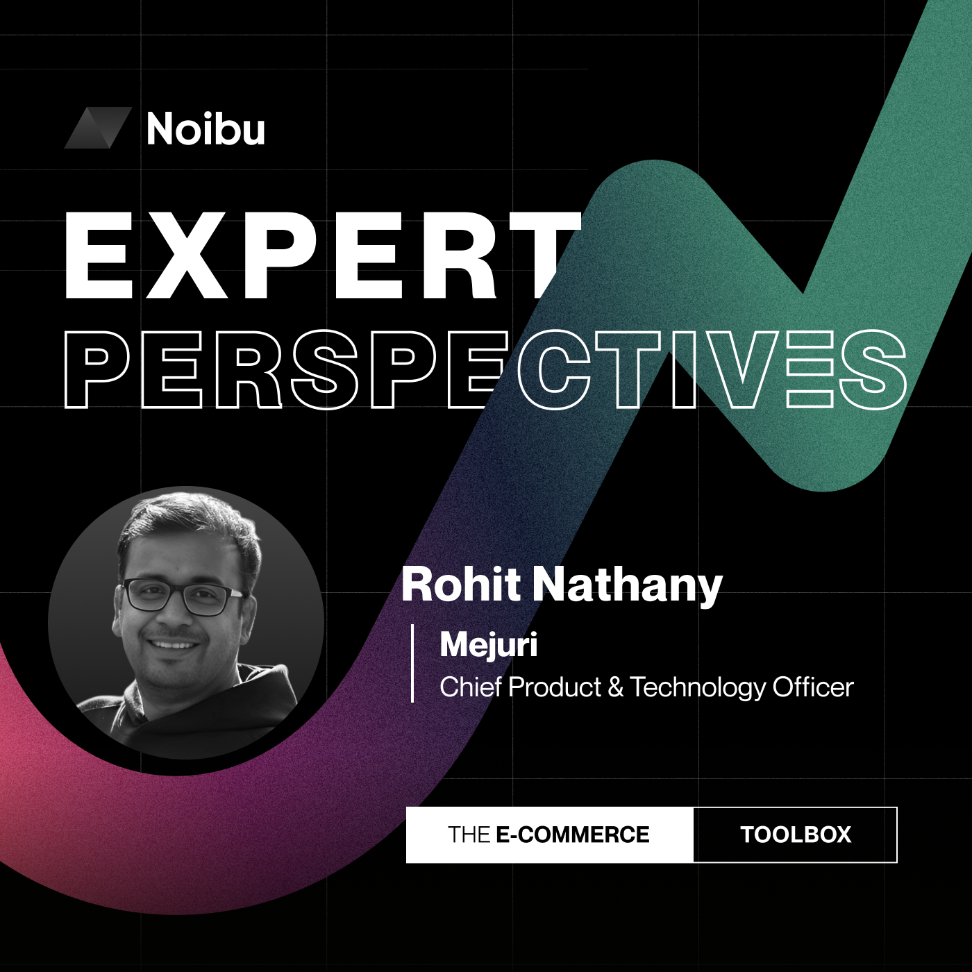 The Ecommerce Toolbox: Expert Perspectives