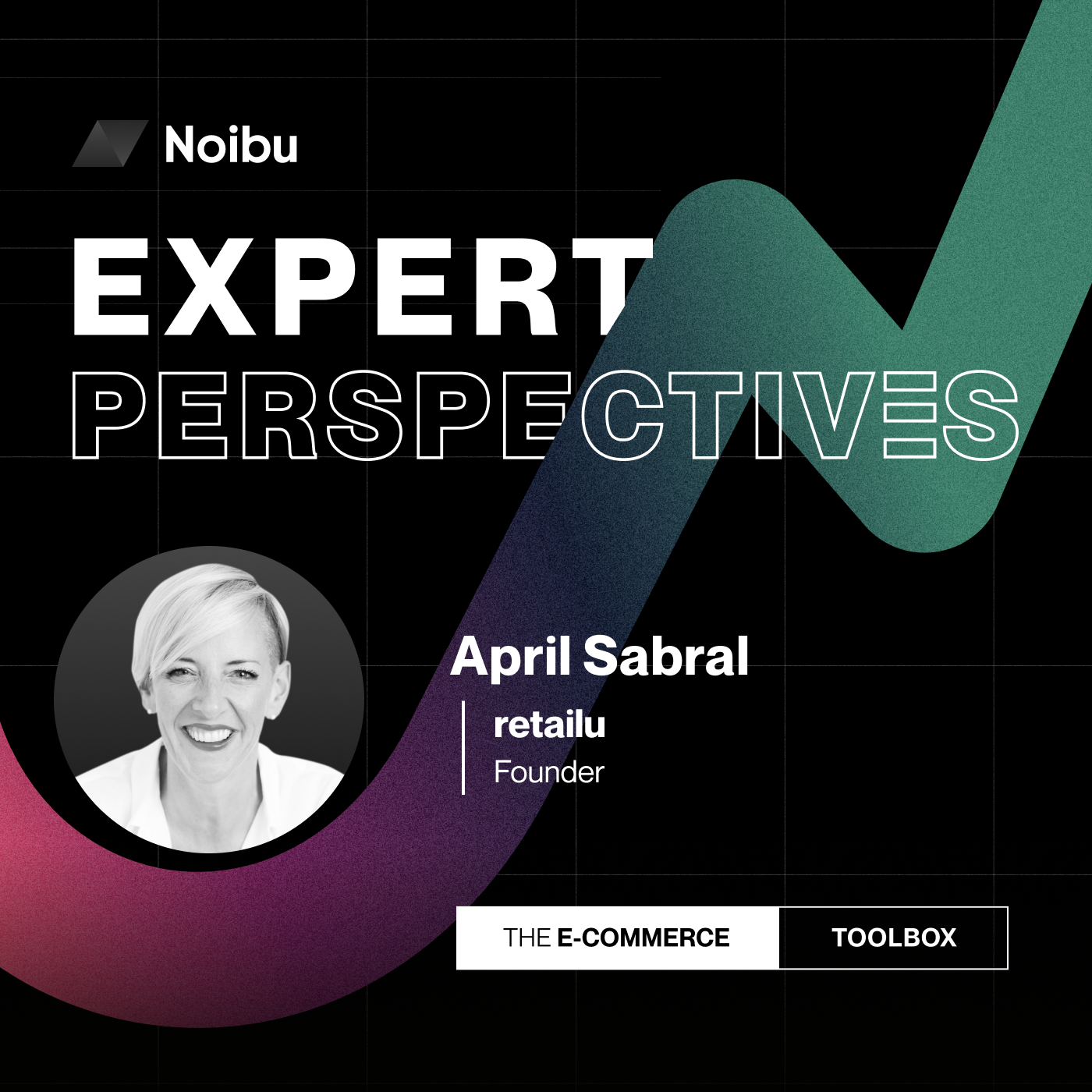 The Ecommerce Toolbox: Expert Perspectives