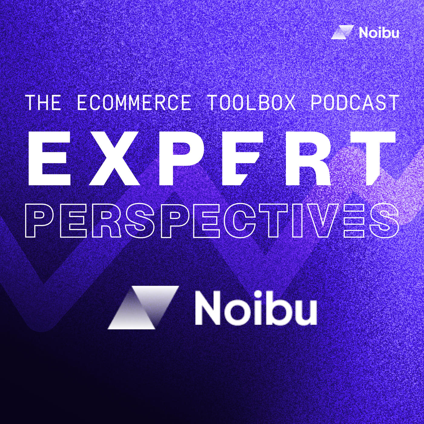 The Ecommerce Toolbox: Expert Perspectives