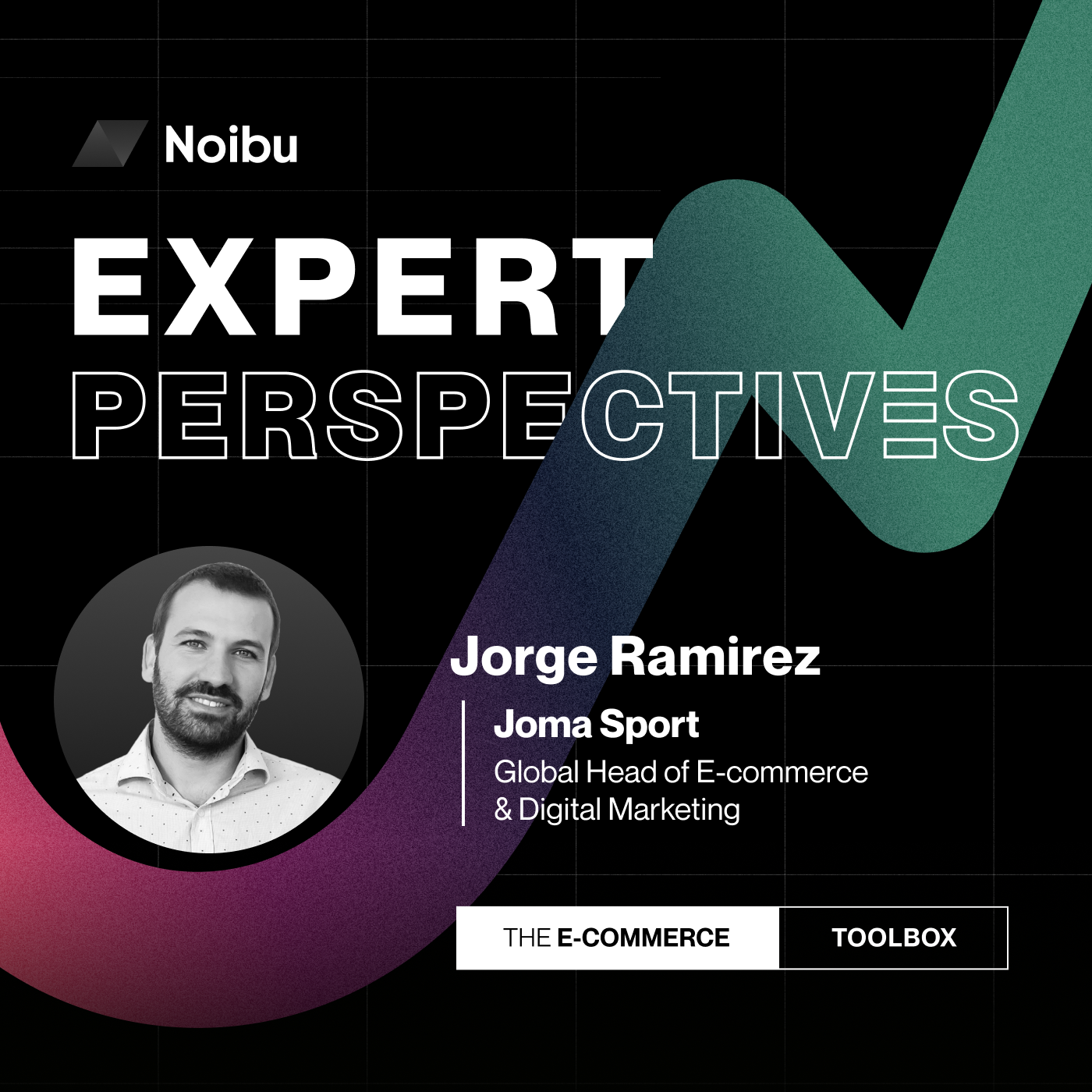 The Ecommerce Toolbox: Expert Perspectives