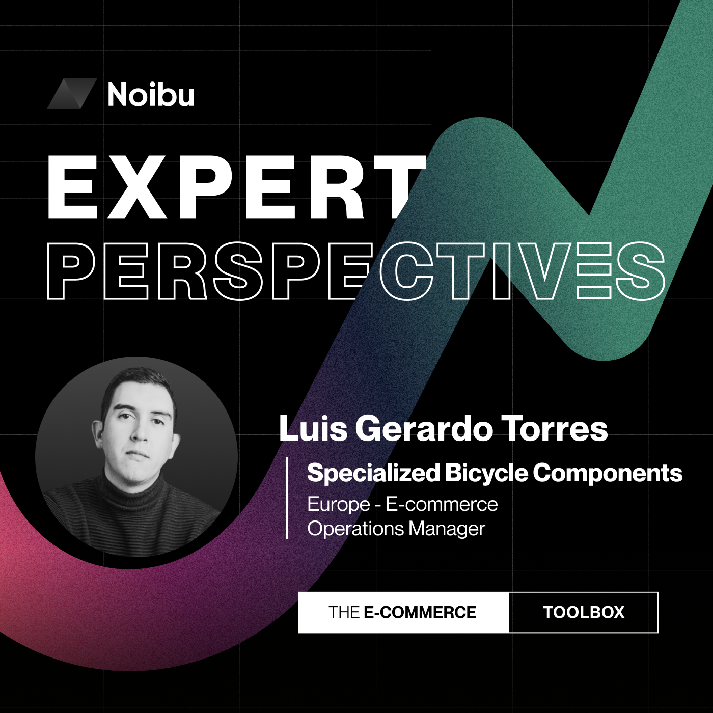 The Ecommerce Toolbox: Expert Perspectives