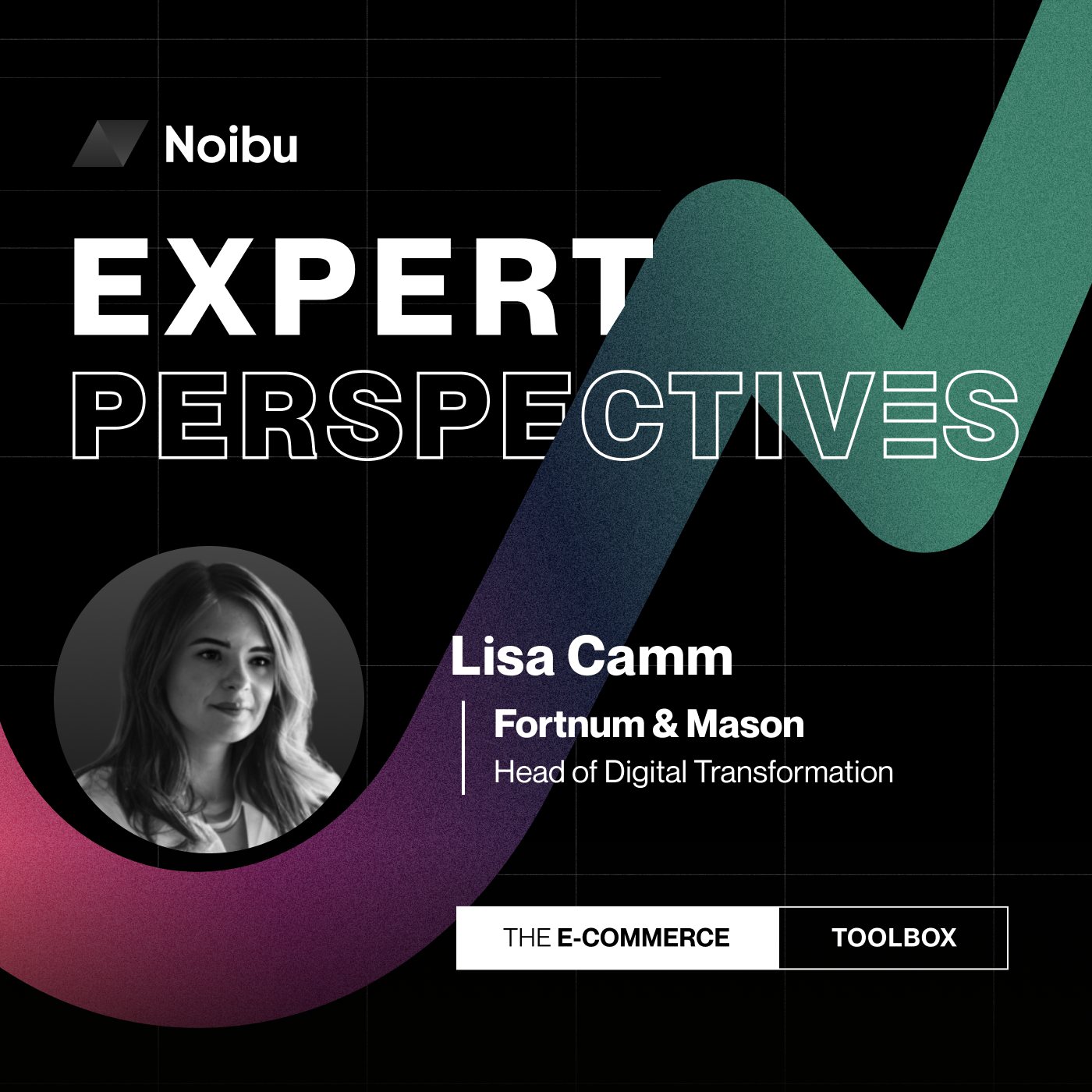 The Ecommerce Toolbox: Expert Perspectives
