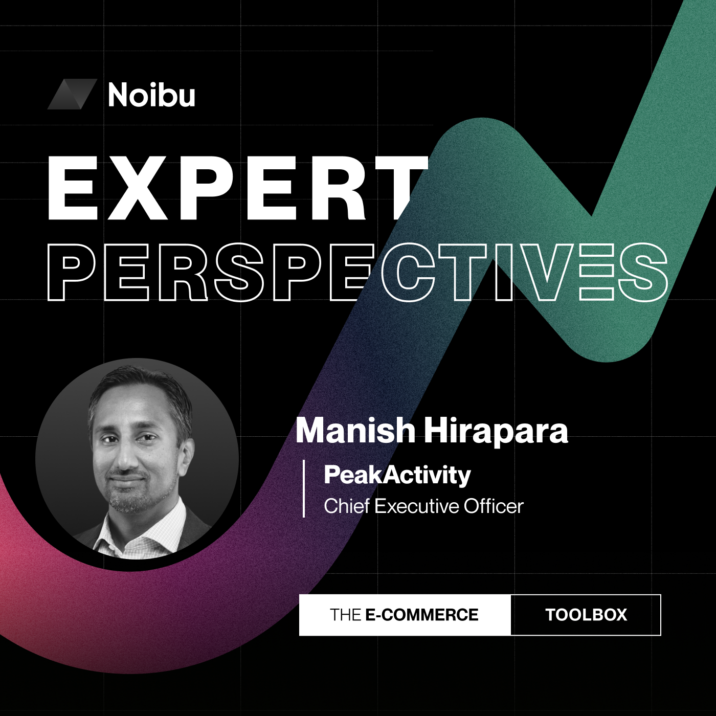 The Ecommerce Toolbox: Expert Perspectives