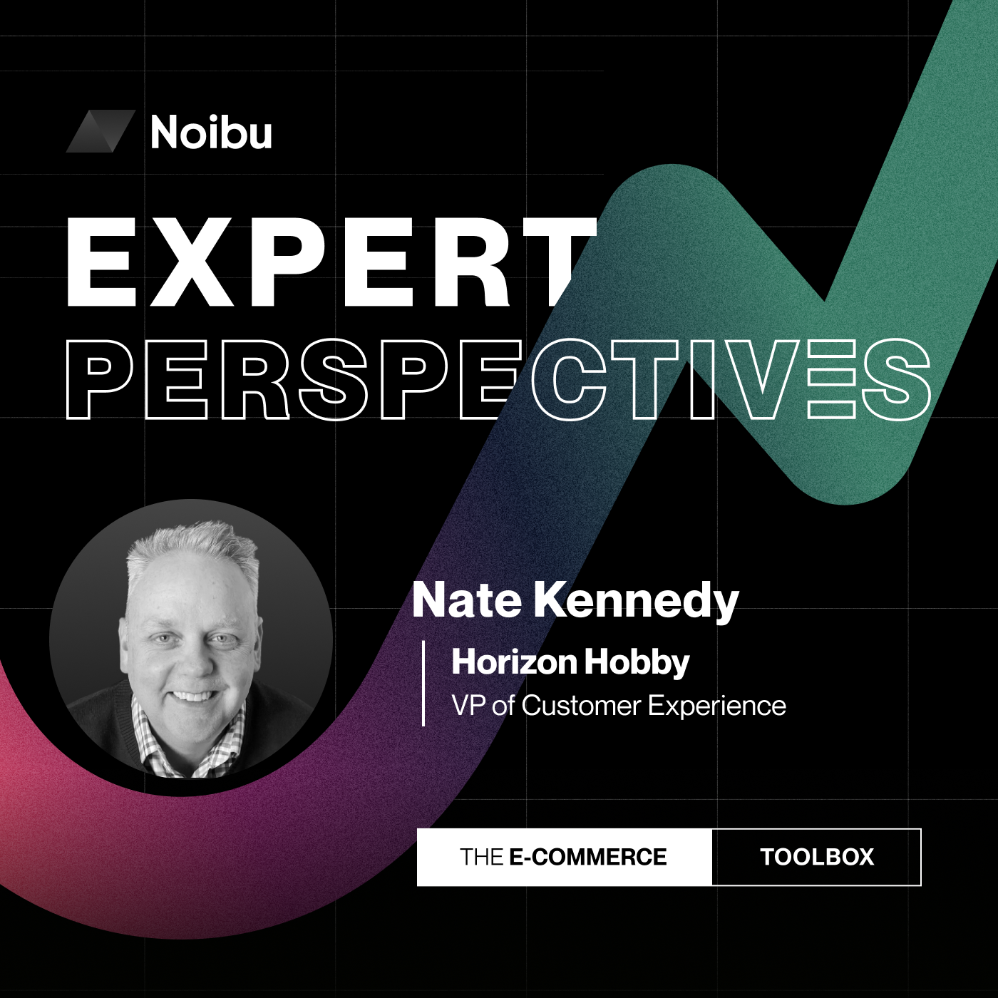The Ecommerce Toolbox: Expert Perspectives