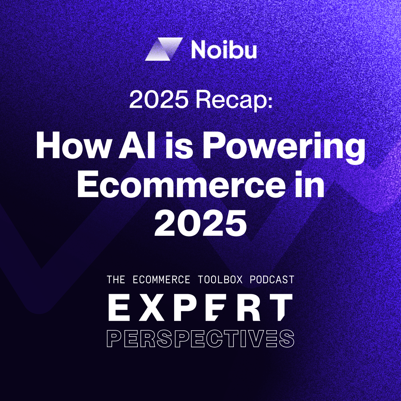 The Ecommerce Toolbox: Expert Perspectives