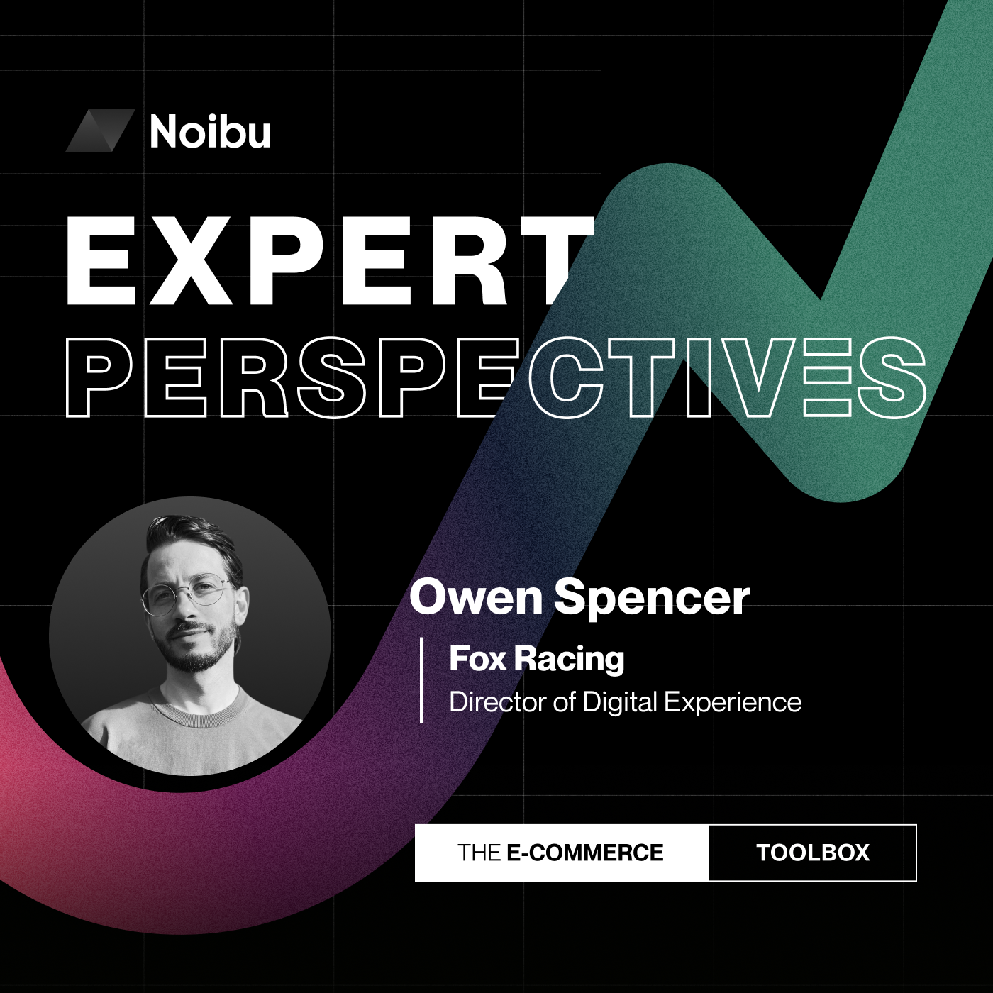 The Ecommerce Toolbox: Expert Perspectives
