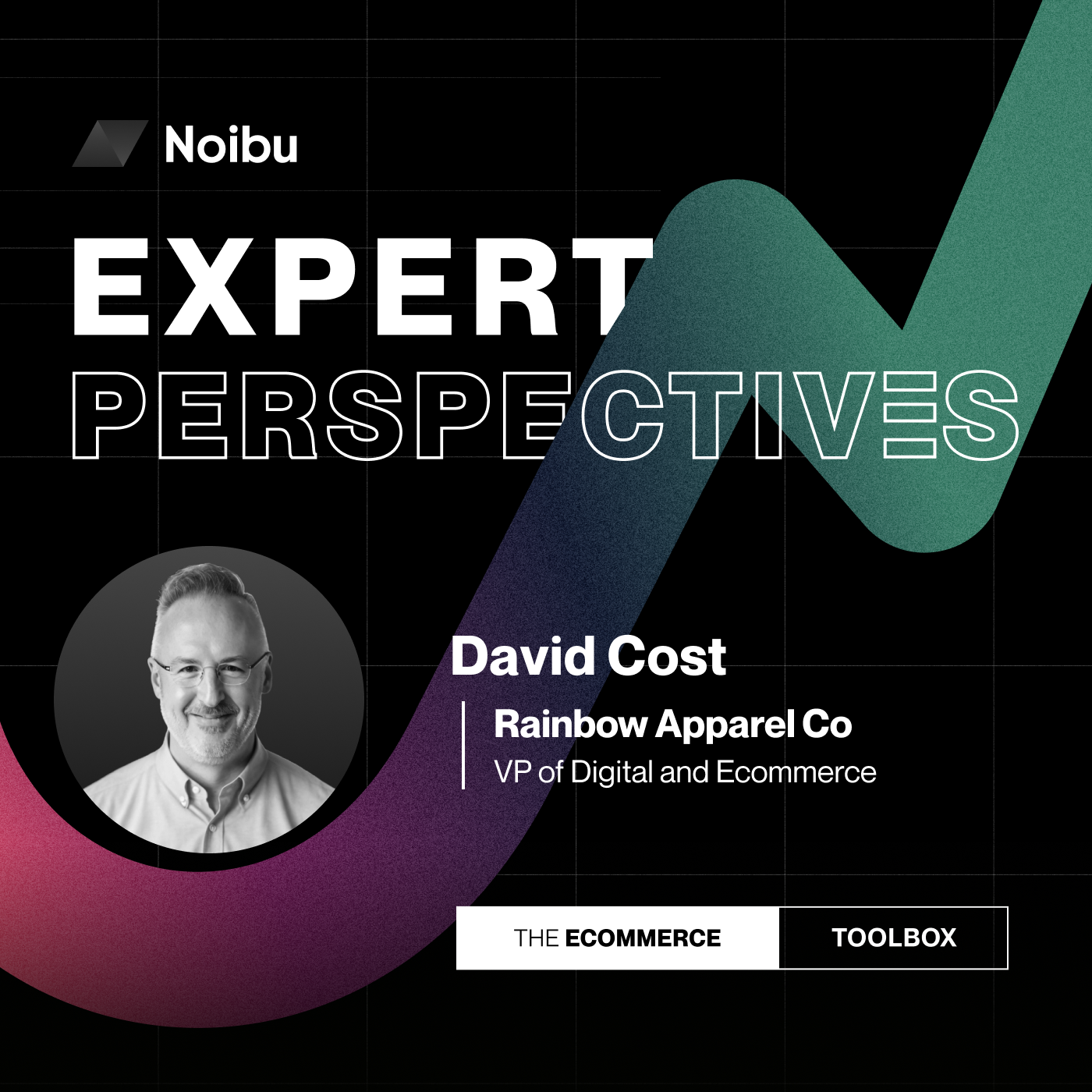 The Ecommerce Toolbox: Expert Perspectives