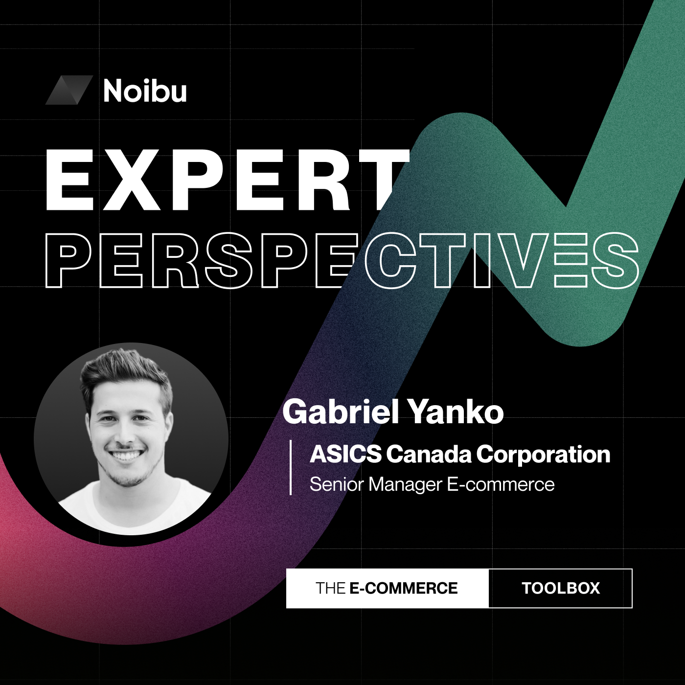 The Ecommerce Toolbox: Expert Perspectives