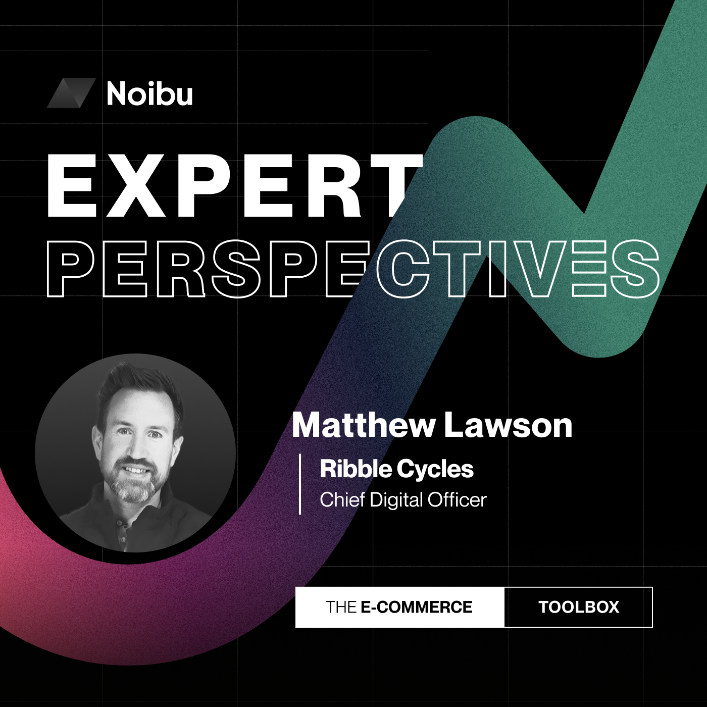 The Ecommerce Toolbox: Expert Perspectives