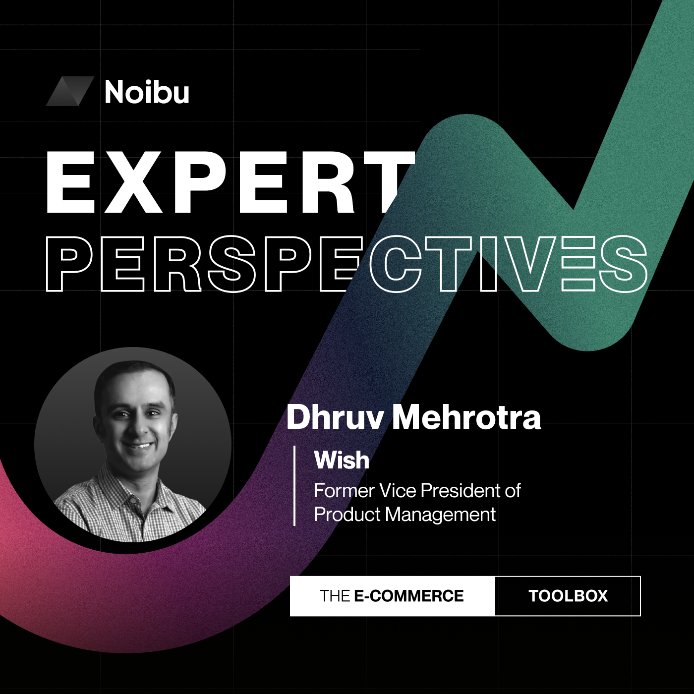 The Ecommerce Toolbox: Expert Perspectives