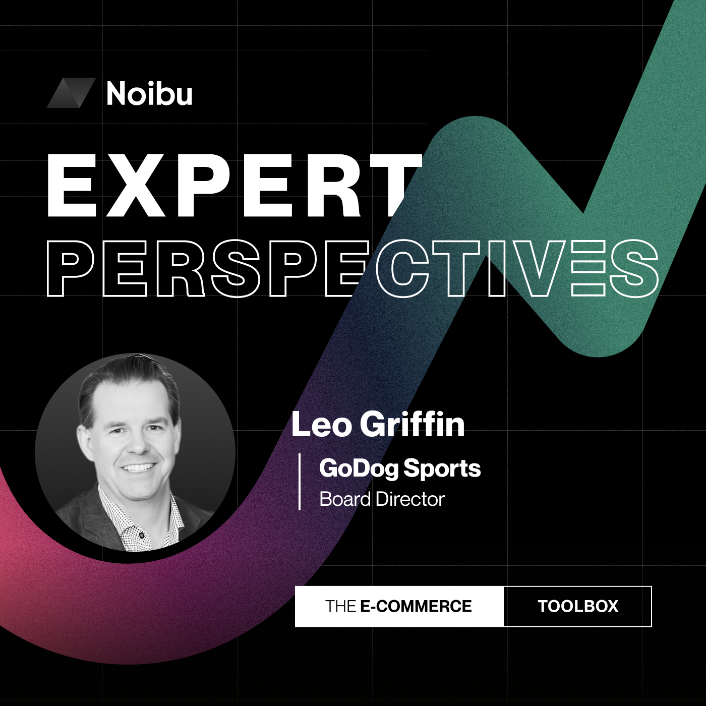 The Ecommerce Toolbox: Expert Perspectives