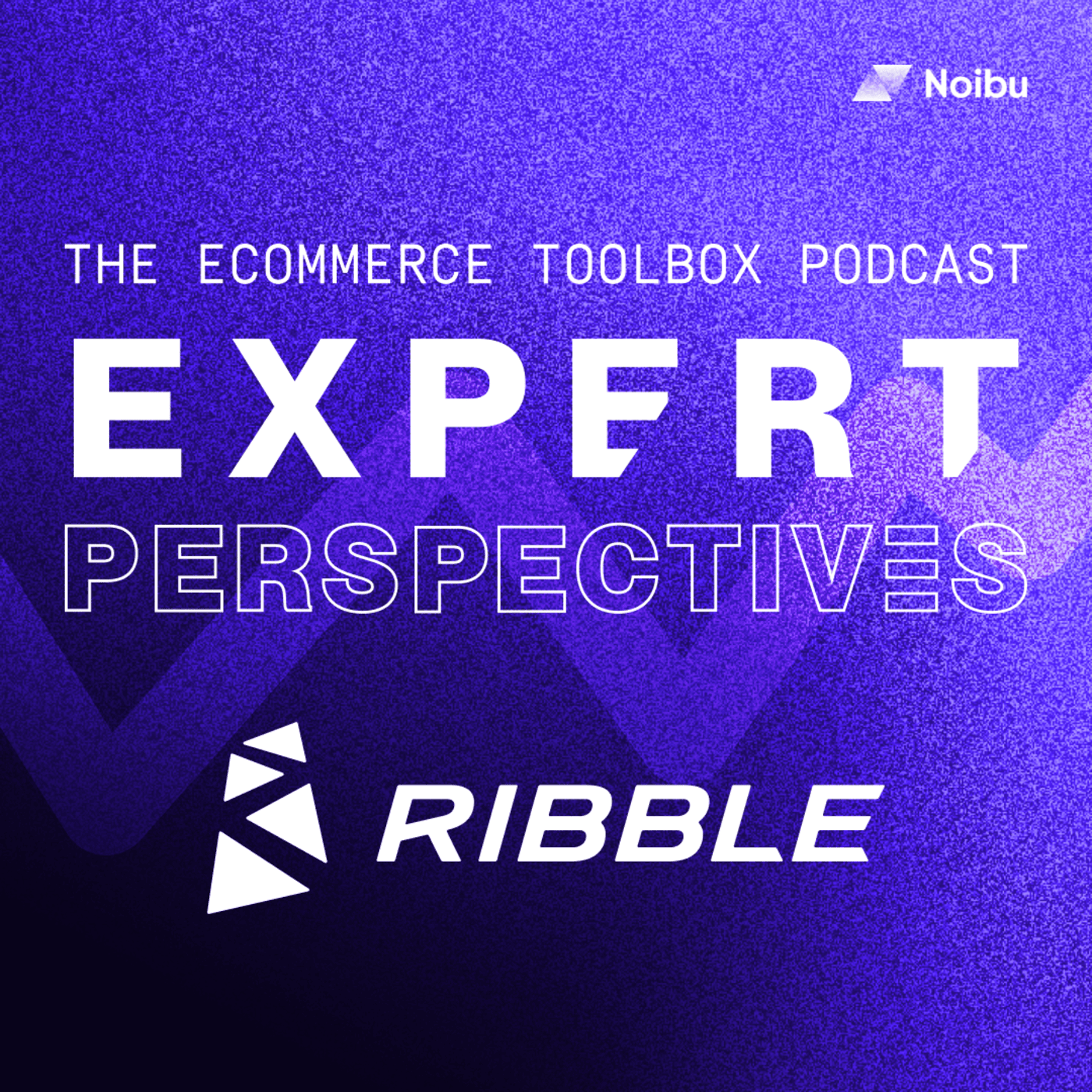 The Ecommerce Toolbox: Expert Perspectives