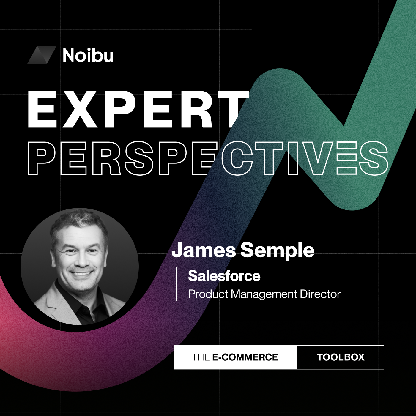 The Ecommerce Toolbox: Expert Perspectives