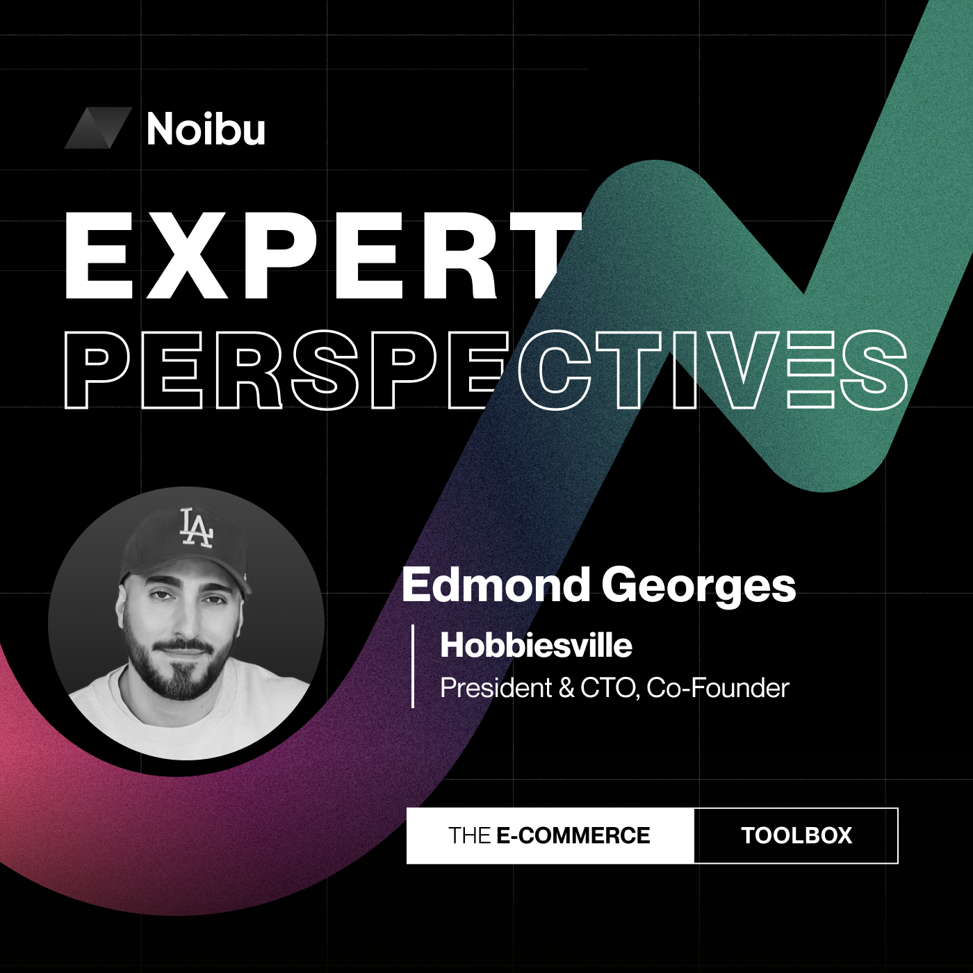 The Ecommerce Toolbox: Expert Perspectives