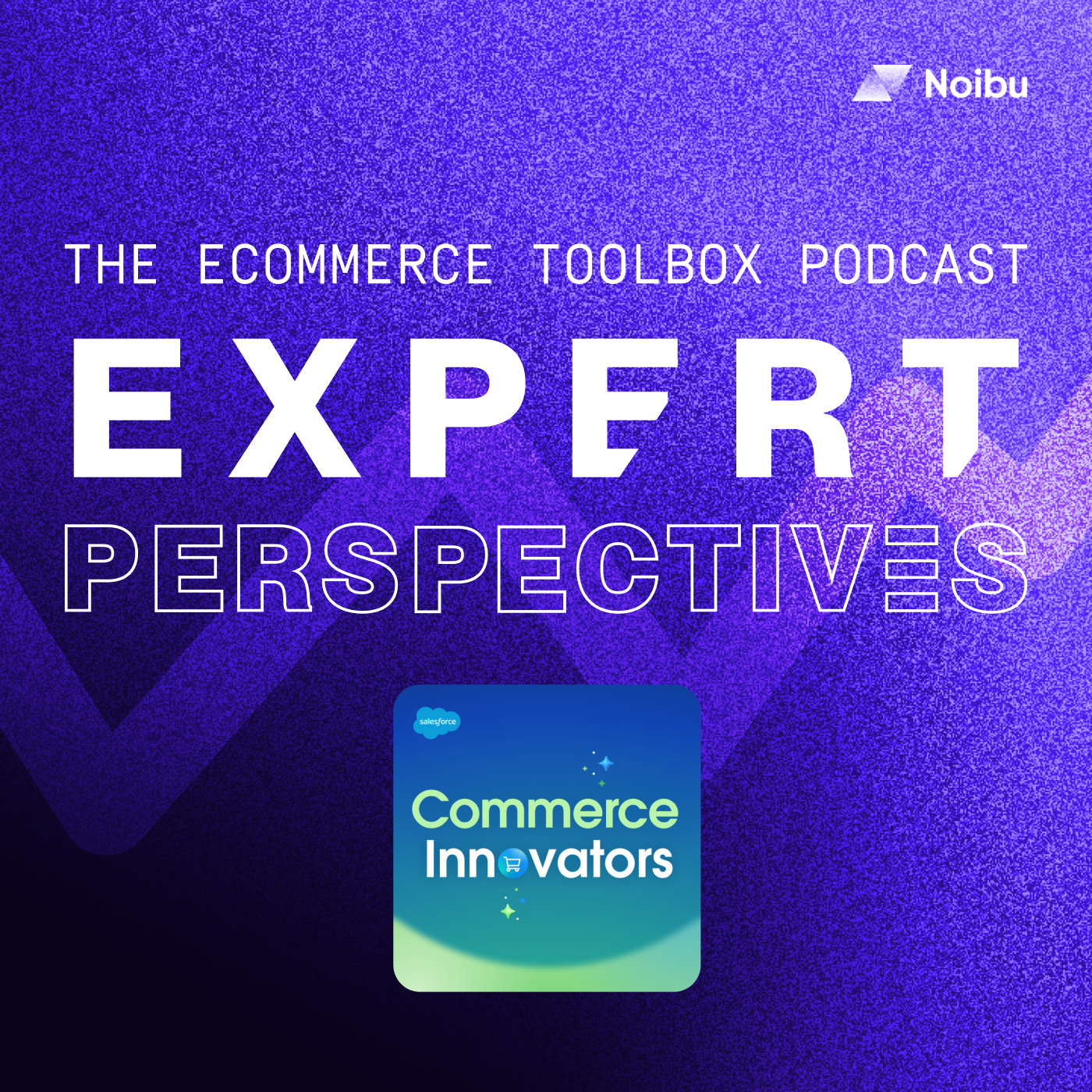 The Ecommerce Toolbox: Expert Perspectives