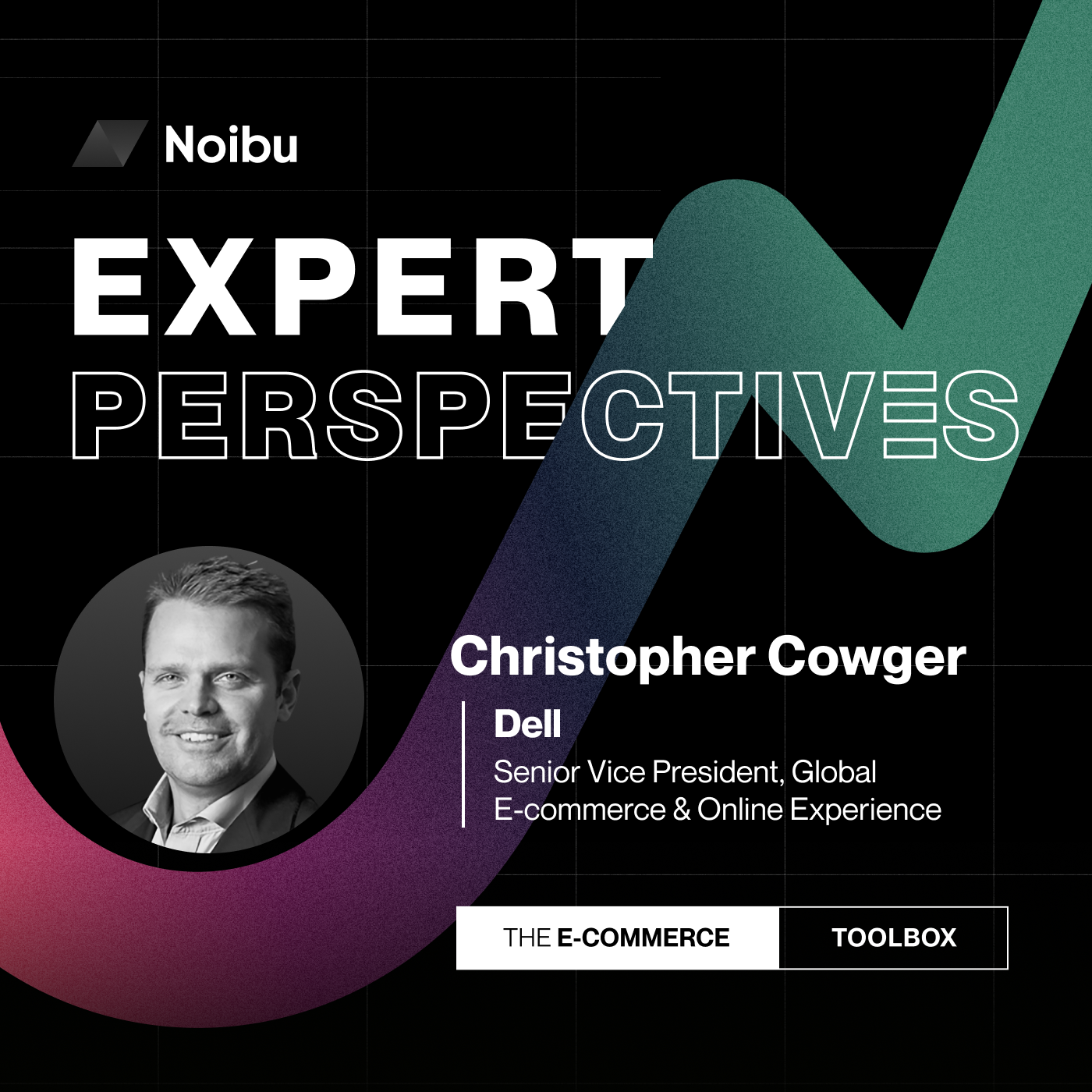The Ecommerce Toolbox: Expert Perspectives