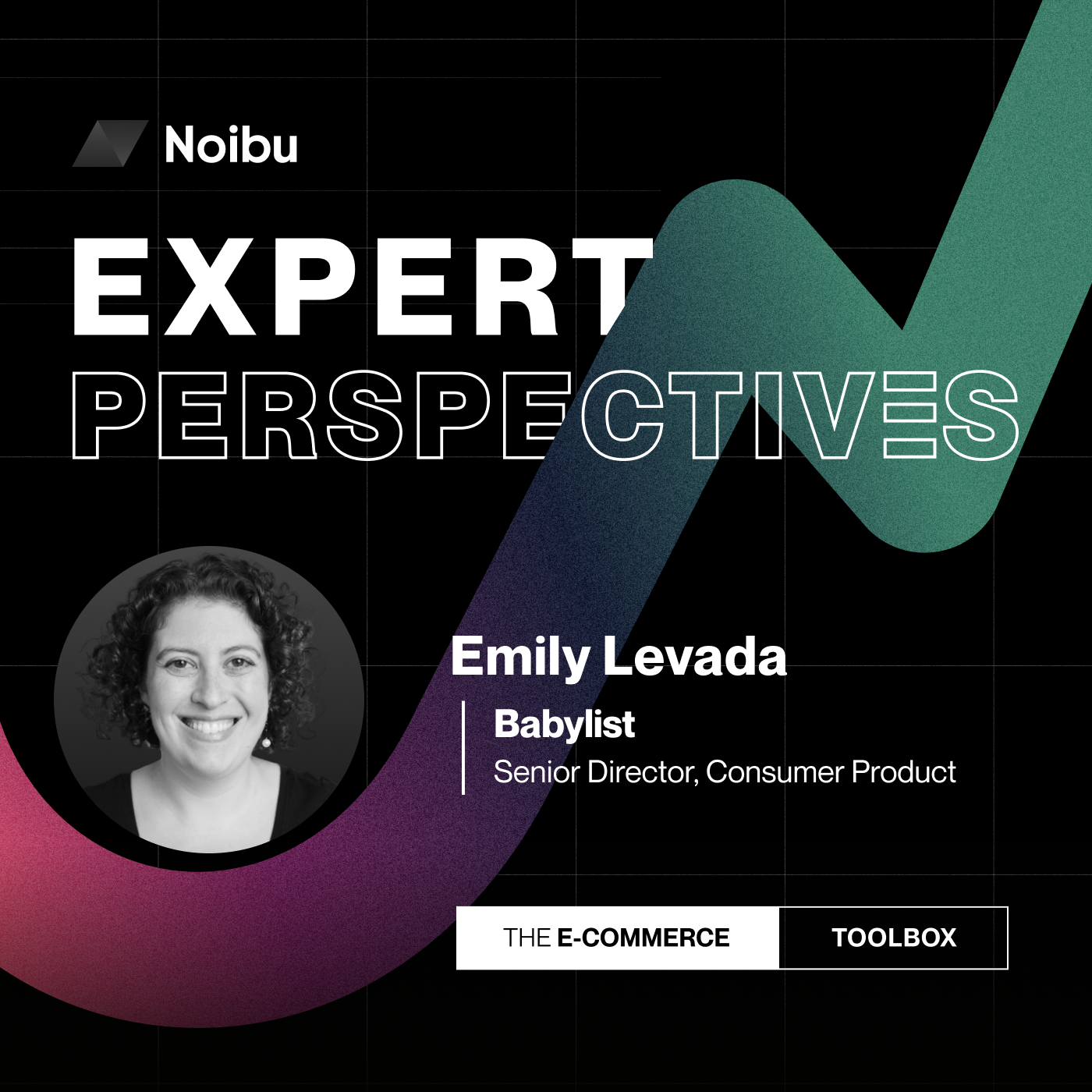The Ecommerce Toolbox: Expert Perspectives