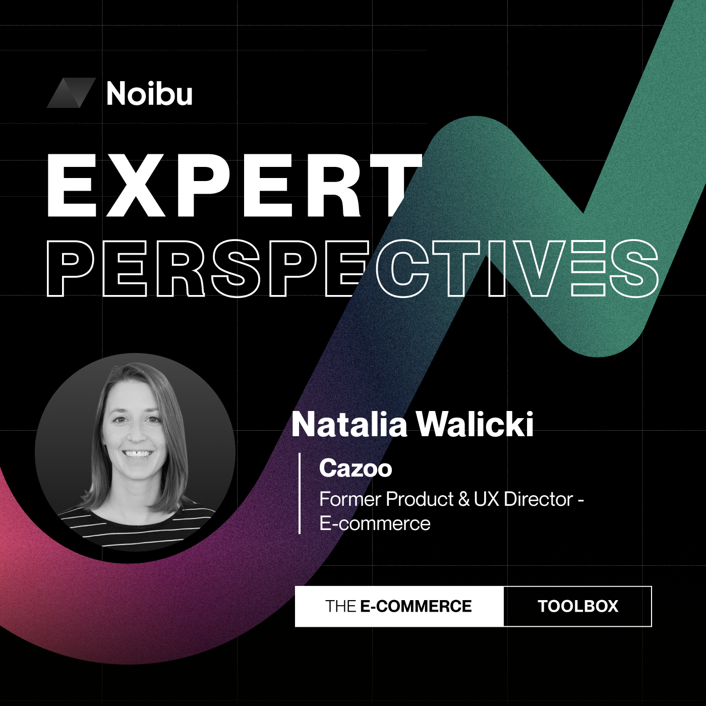 The Ecommerce Toolbox: Expert Perspectives