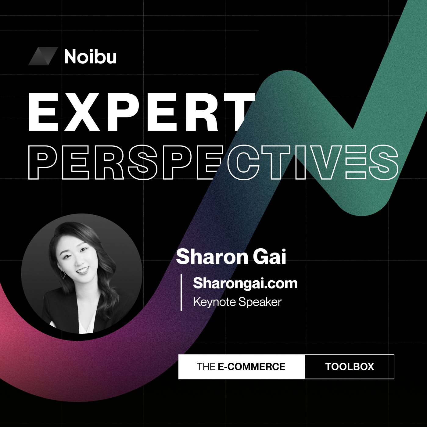 The Ecommerce Toolbox: Expert Perspectives