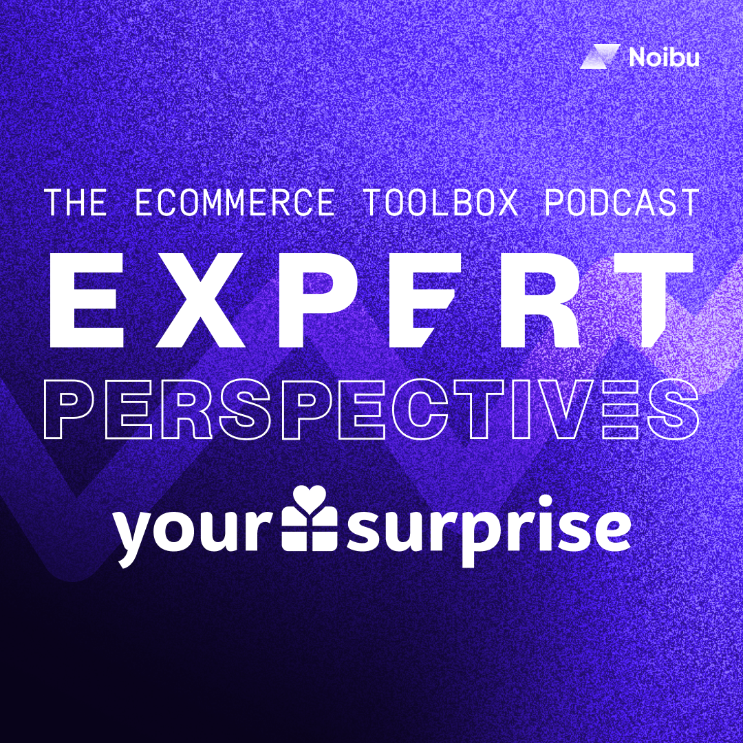 The Ecommerce Toolbox: Expert Perspectives