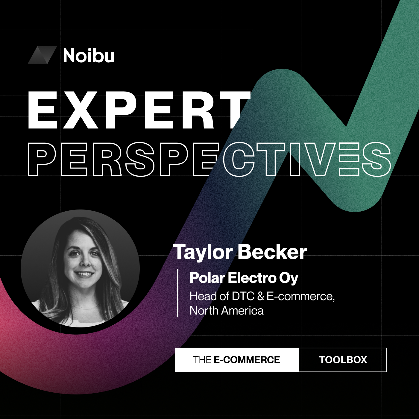 The Ecommerce Toolbox: Expert Perspectives