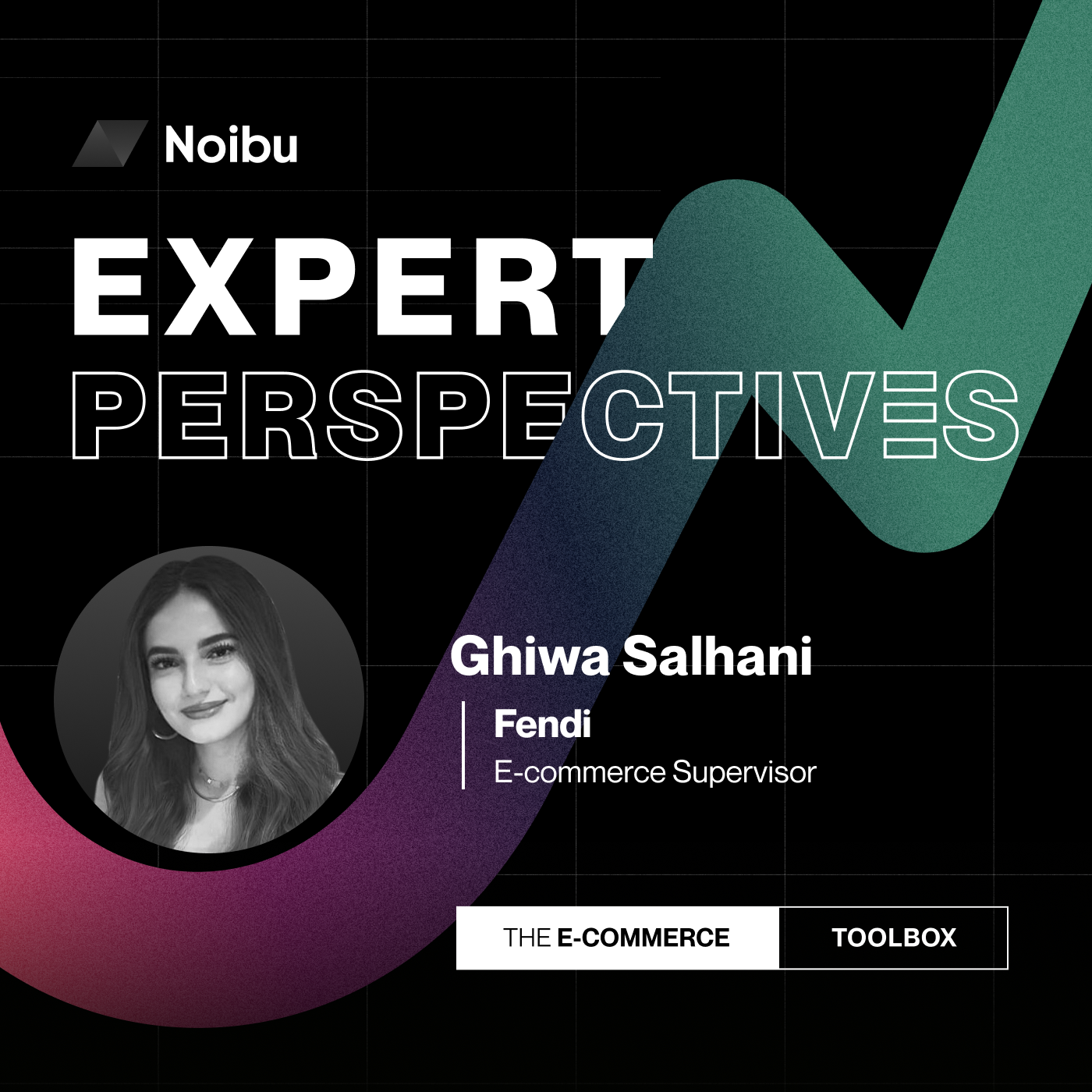 The Ecommerce Toolbox: Expert Perspectives