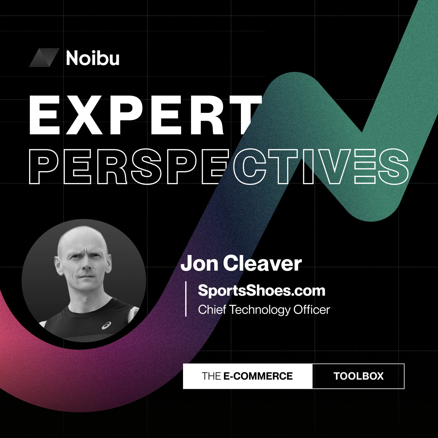 The Ecommerce Toolbox: Expert Perspectives