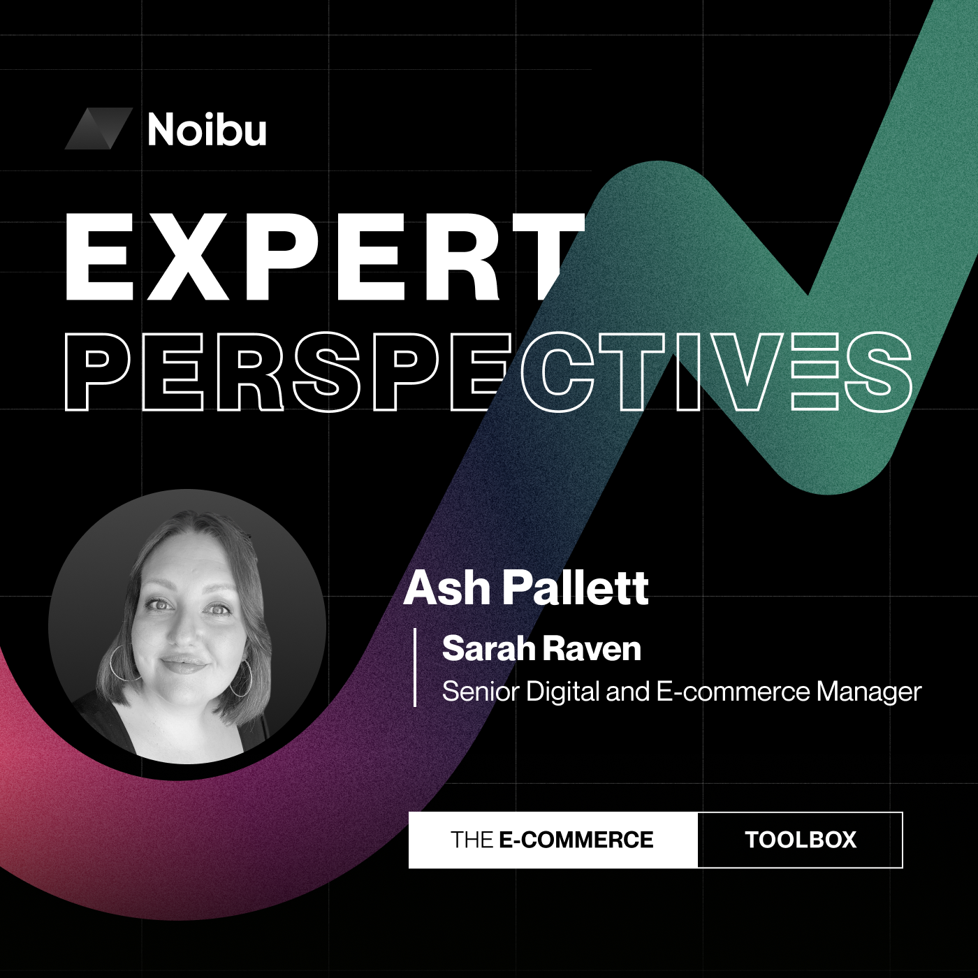 The Ecommerce Toolbox: Expert Perspectives