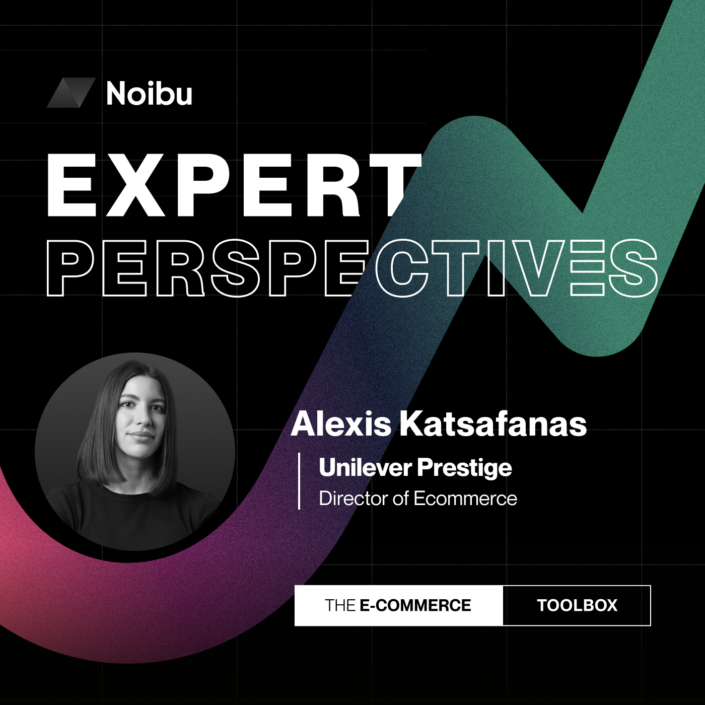 The Ecommerce Toolbox: Expert Perspectives
