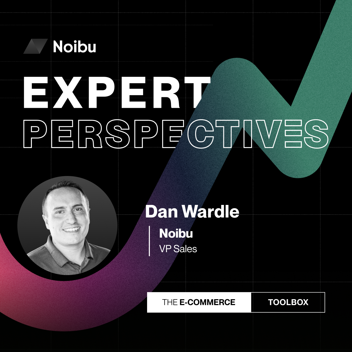 The Ecommerce Toolbox: Expert Perspectives