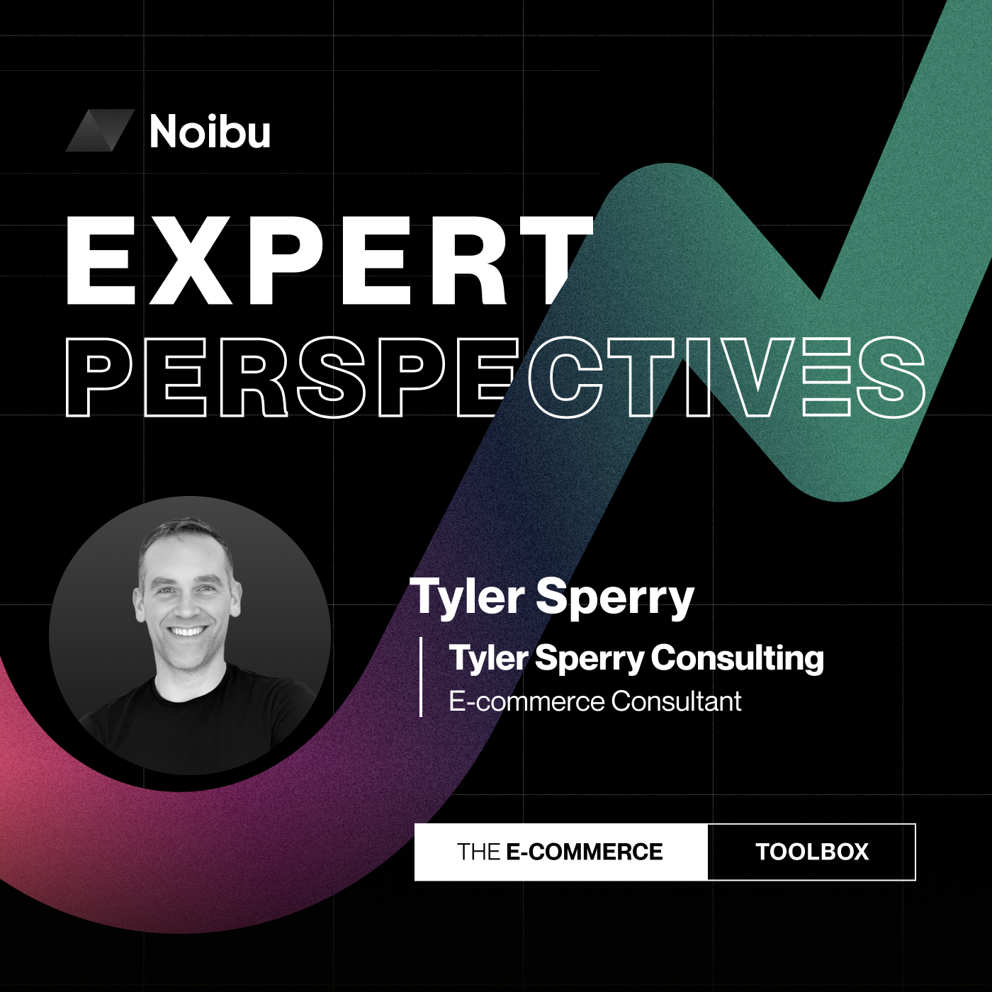The Ecommerce Toolbox: Expert Perspectives