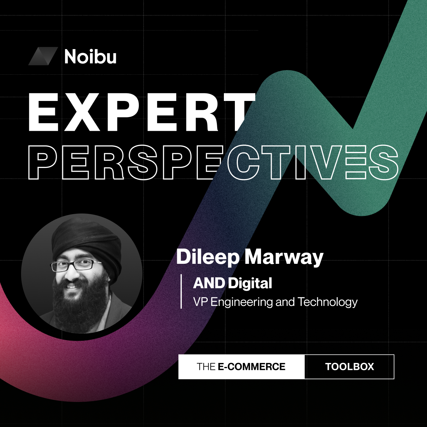 The Ecommerce Toolbox: Expert Perspectives