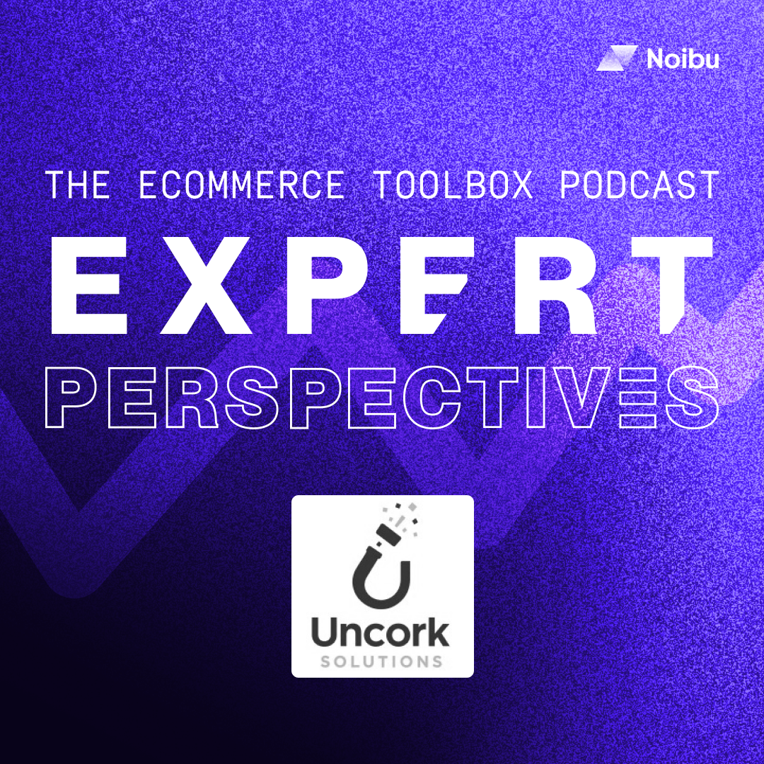 The Ecommerce Toolbox: Expert Perspectives