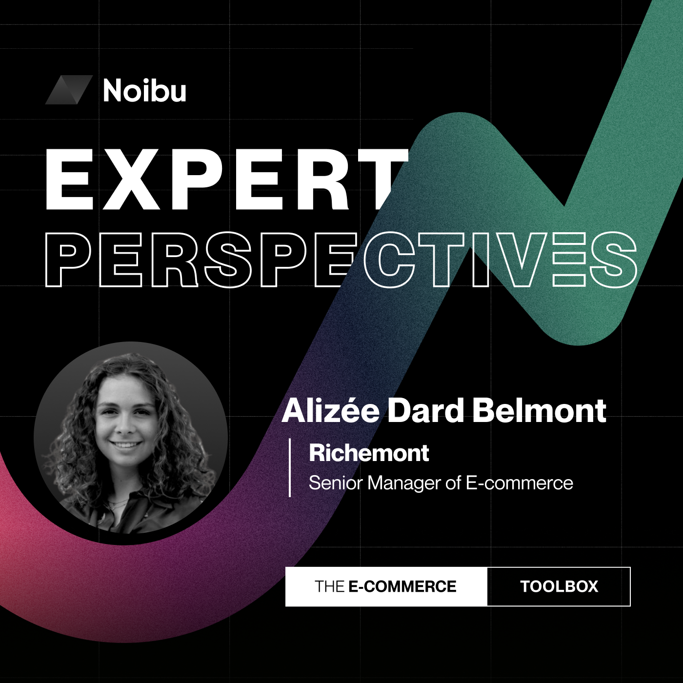 The Ecommerce Toolbox: Expert Perspectives