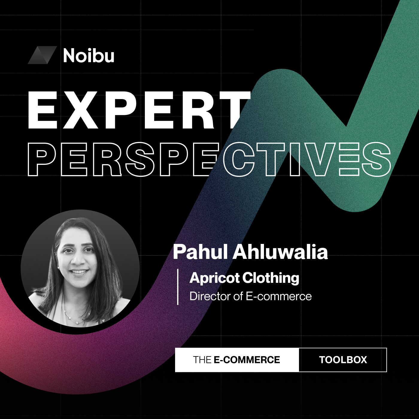 The Ecommerce Toolbox: Expert Perspectives