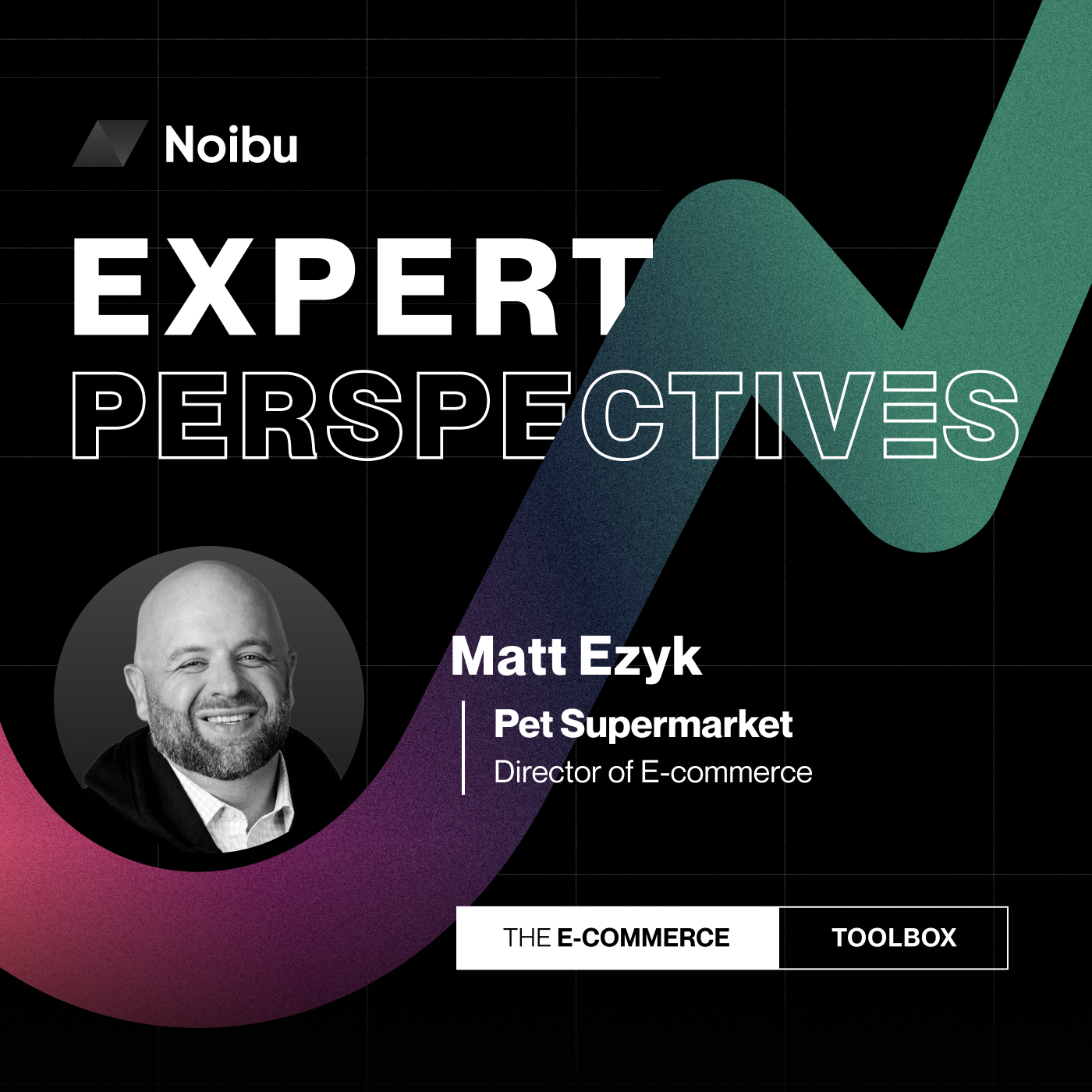 The Ecommerce Toolbox: Expert Perspectives