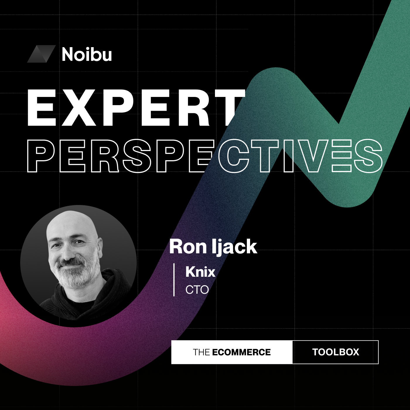 The Ecommerce Toolbox: Expert Perspectives