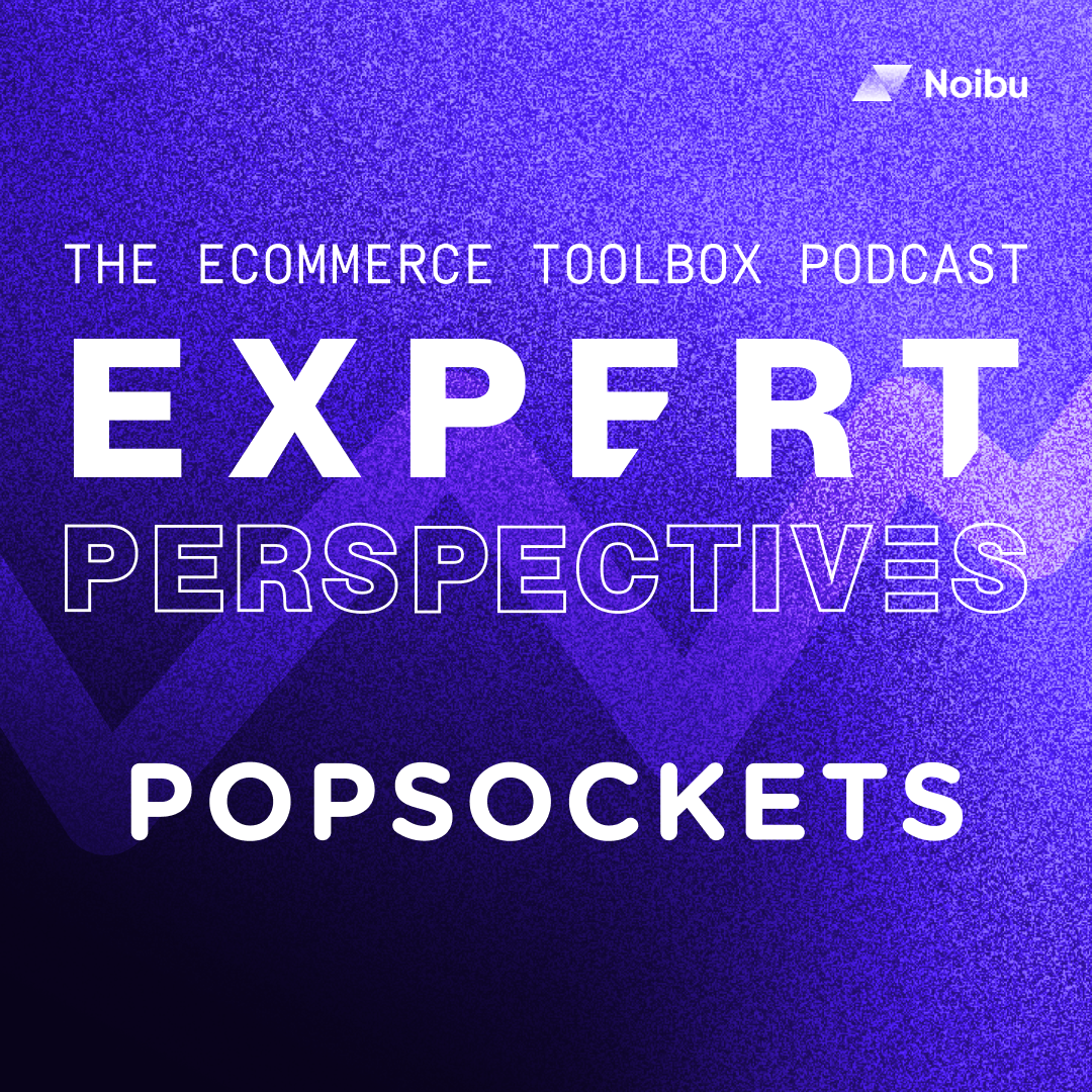 The Ecommerce Toolbox: Expert Perspectives